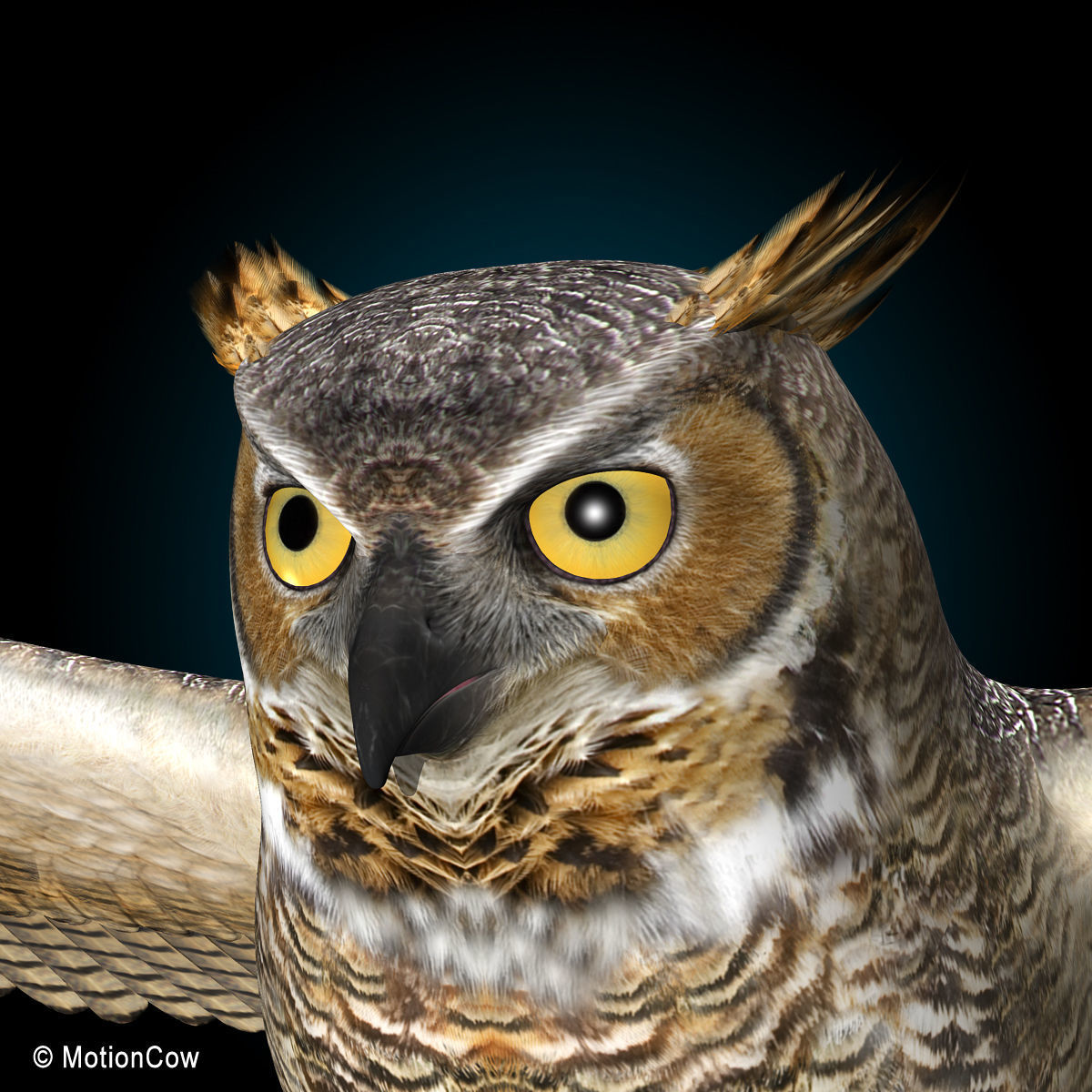 Great Horned Owl - Flight 3D model_10