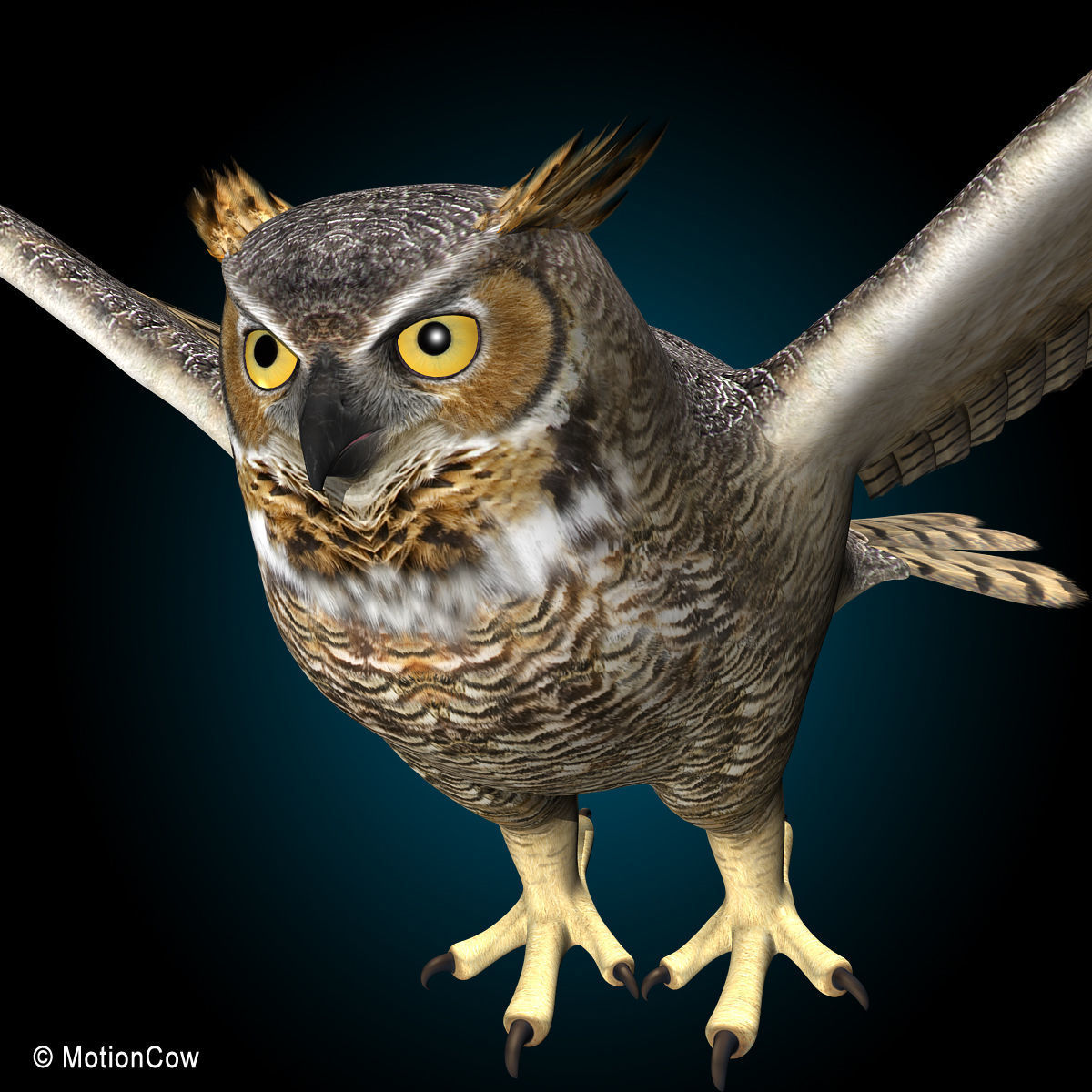 Great Horned Owl - Flight 3D model_8