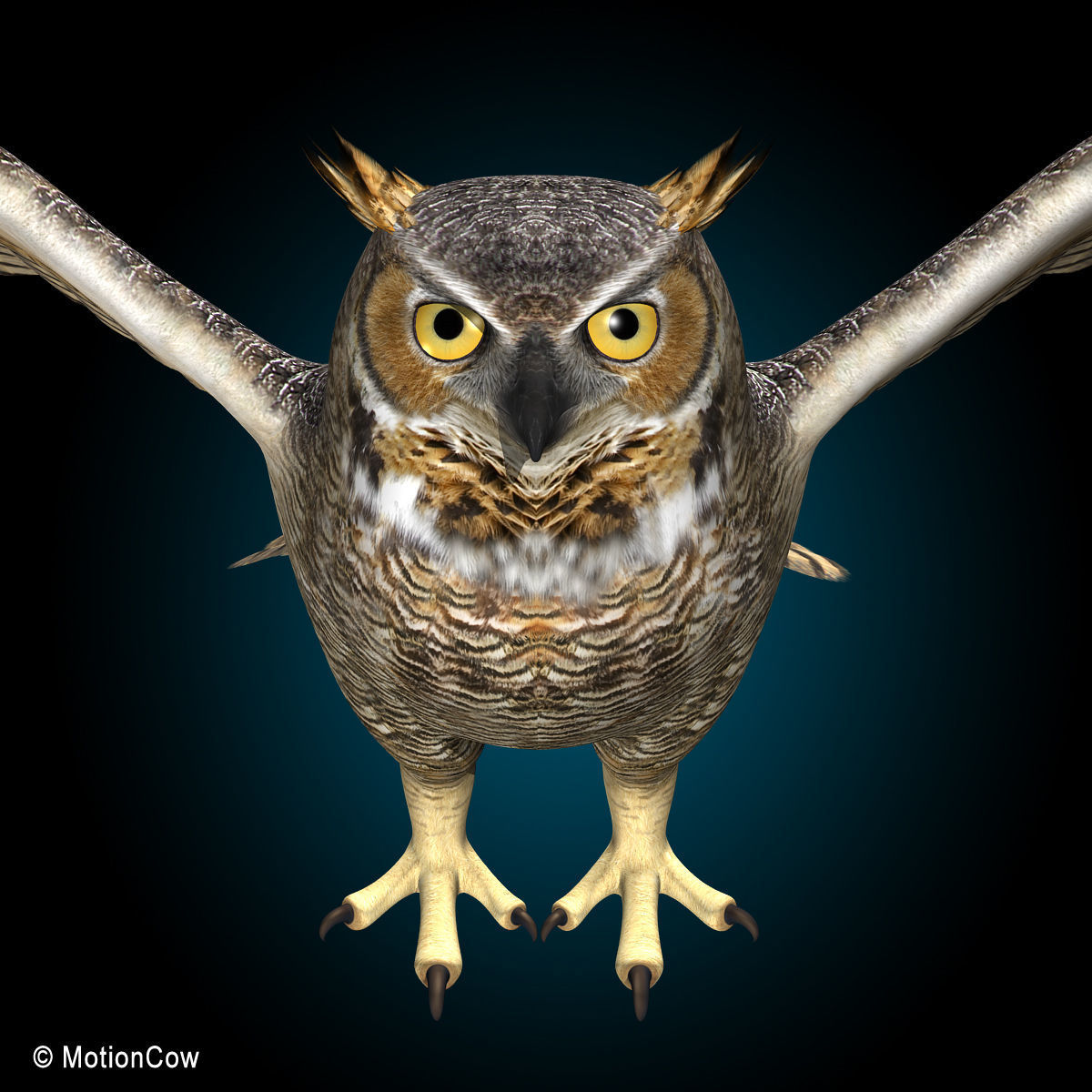 Great Horned Owl - Flight 3D model_9