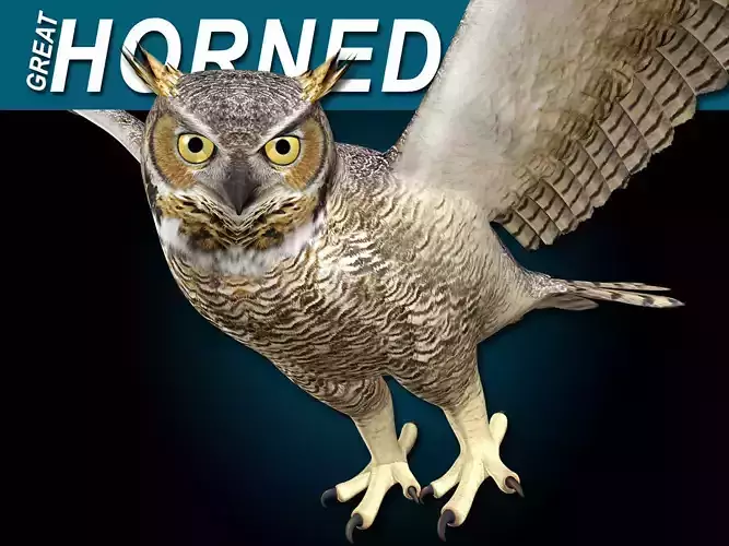 Great Horned Owl - Flight 3D model
