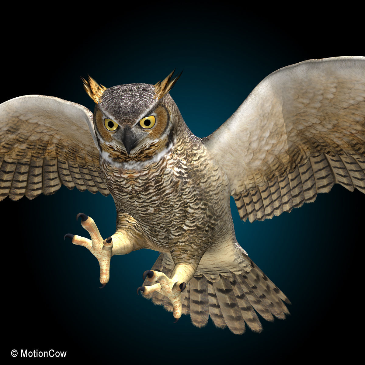 Great Horned Owl - Flight 3D model_6