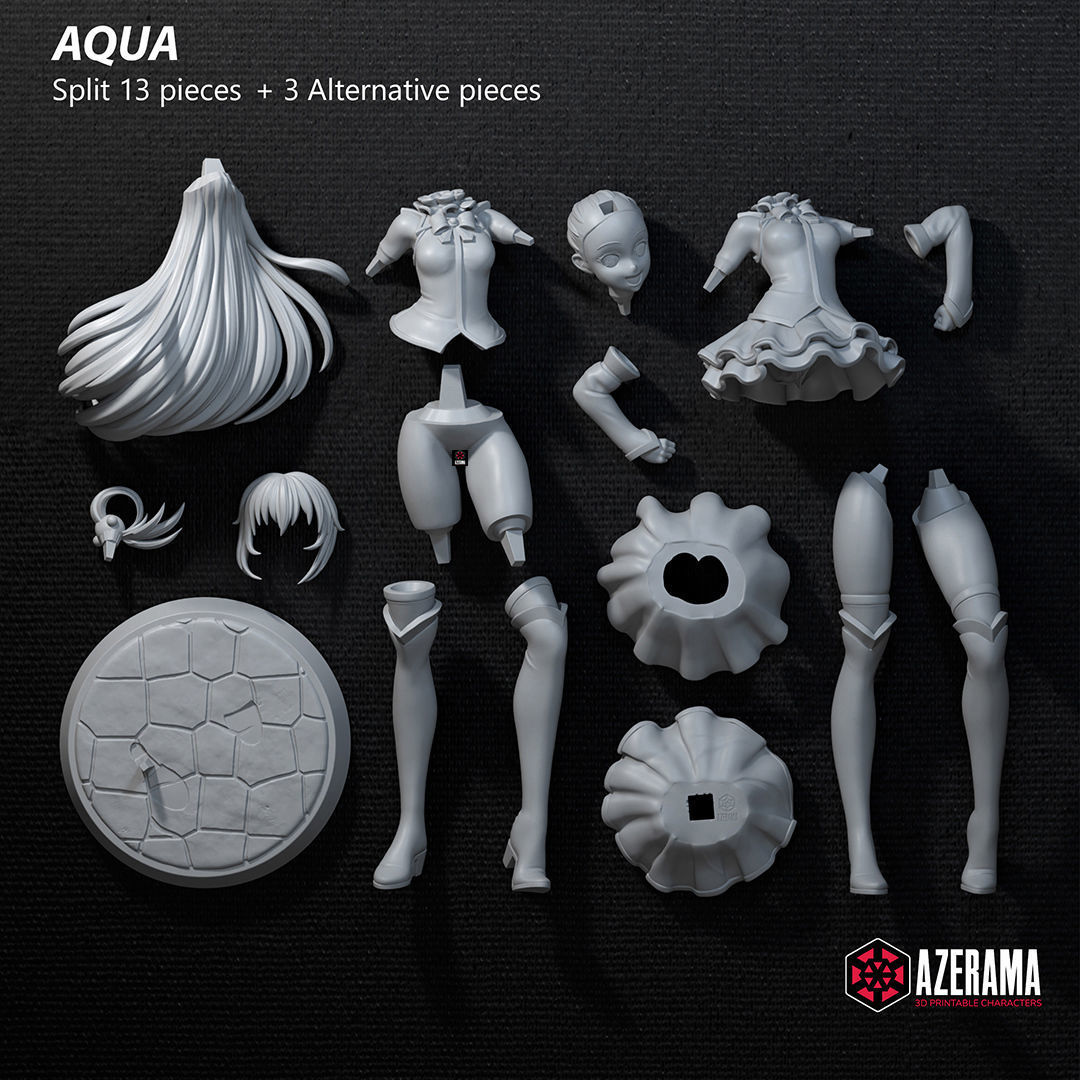 Aqua STL Ready for 3D Printing 3D print model_1