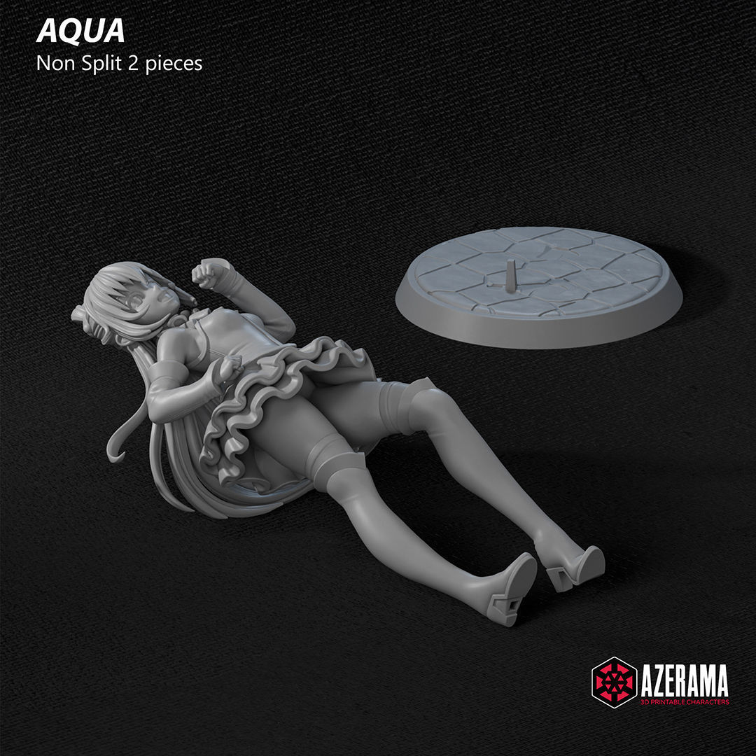 Aqua STL Ready for 3D Printing 3D print model_5
