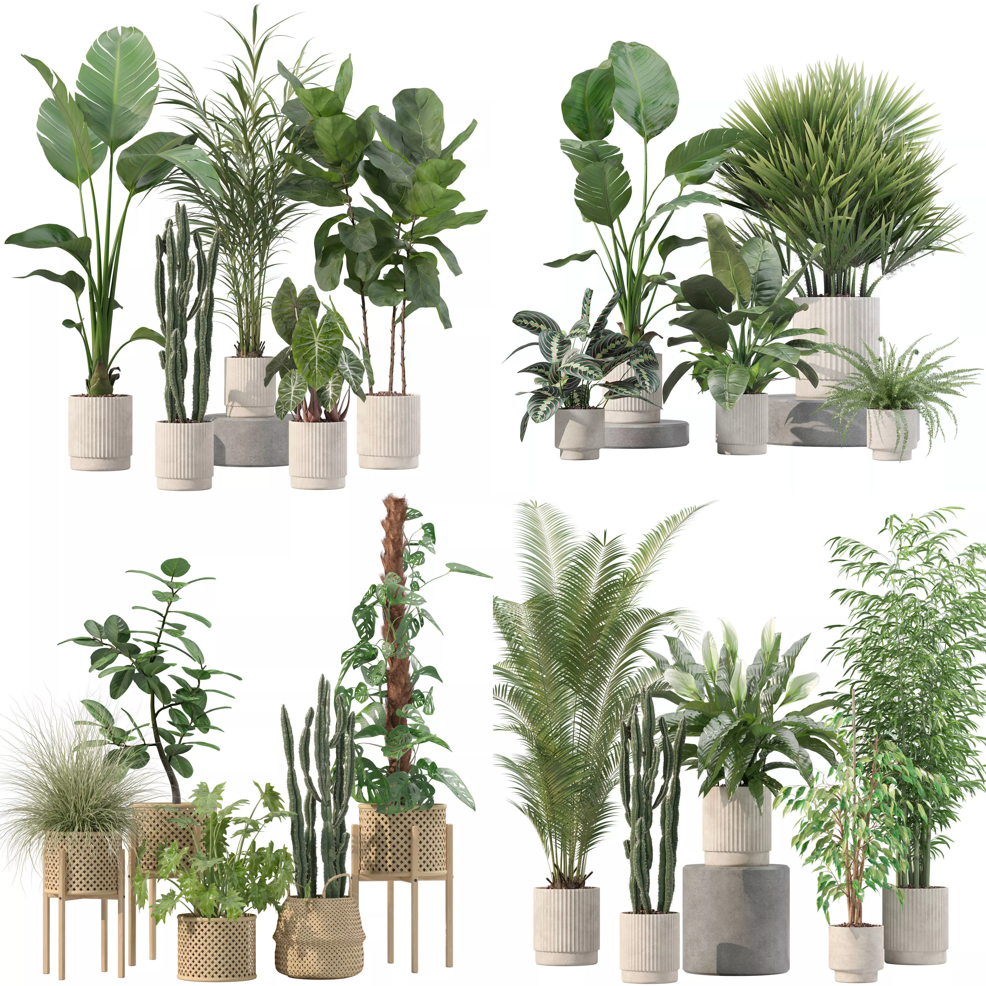 20 Photorealistic Flowers for Interiors - set 201 203 205 207 3D Model Collection_0