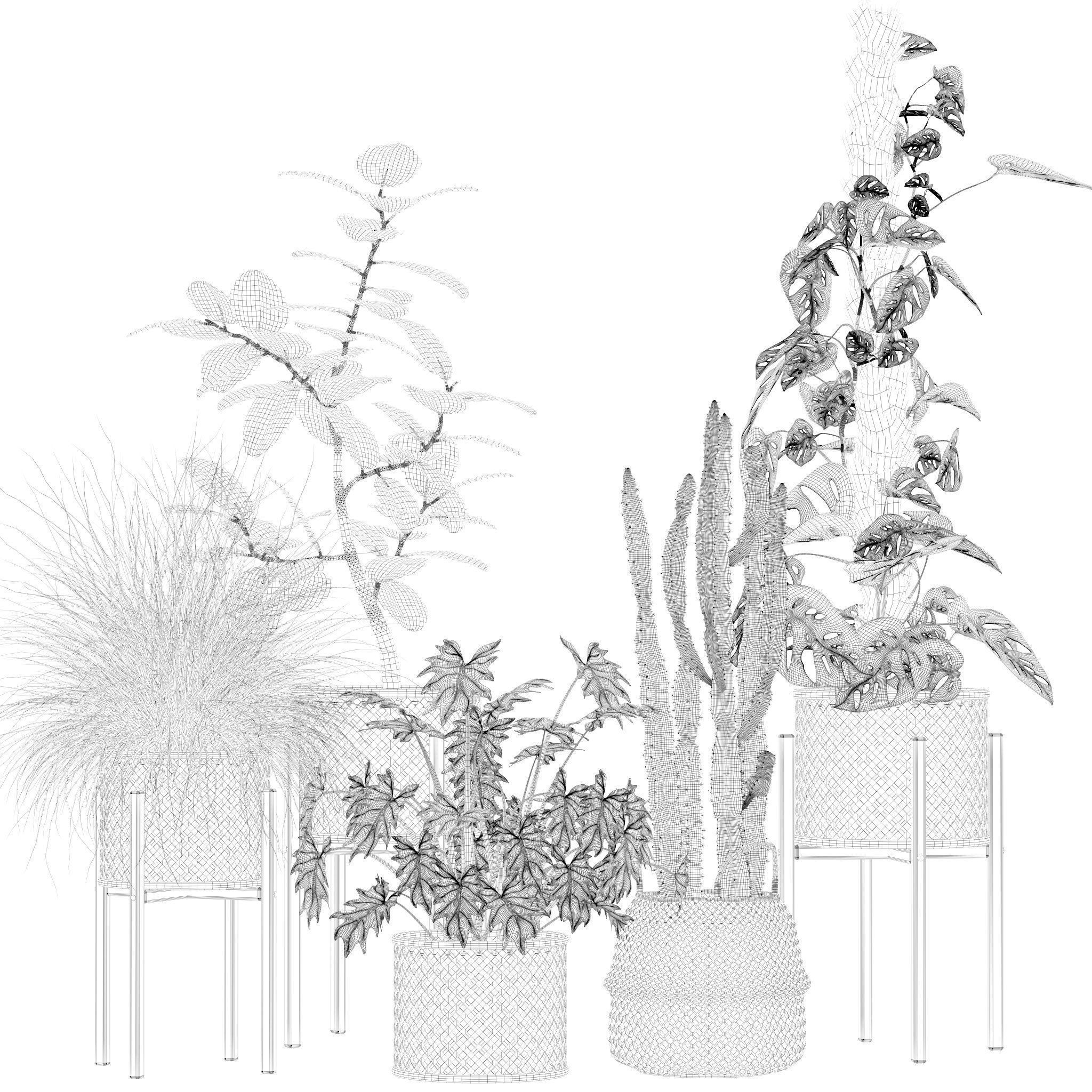 20 Photorealistic Flowers for Interiors - set 201 203 205 207 3D Model Collection_10