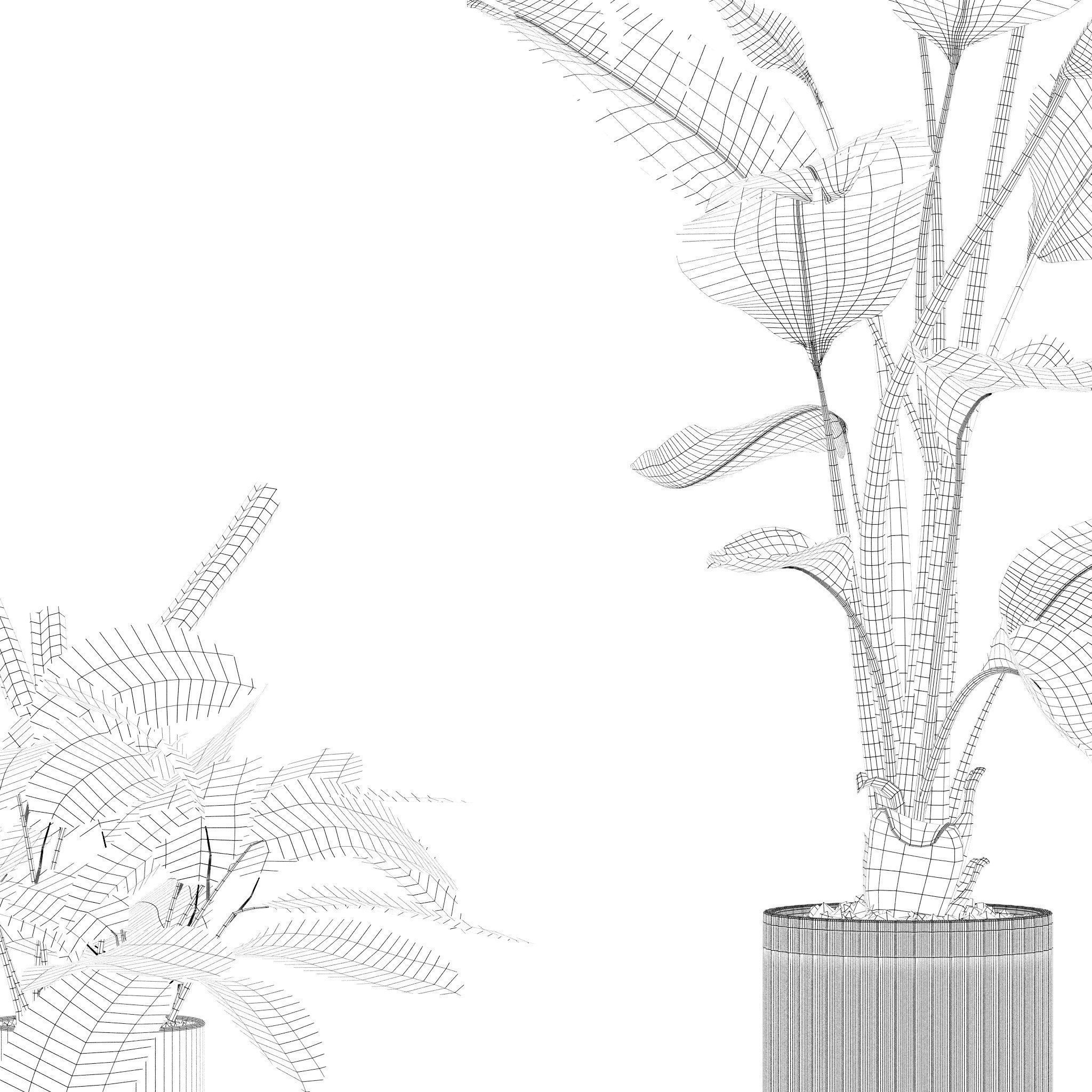 20 Photorealistic Flowers for Interiors - set 201 203 205 207 3D Model Collection_76