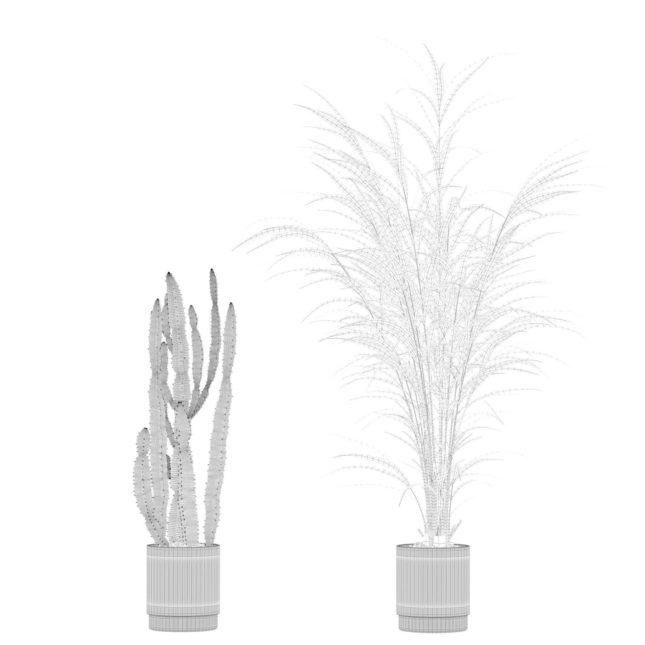 20 Photorealistic Flowers for Interiors - set 201 203 205 207 3D Model Collection_13