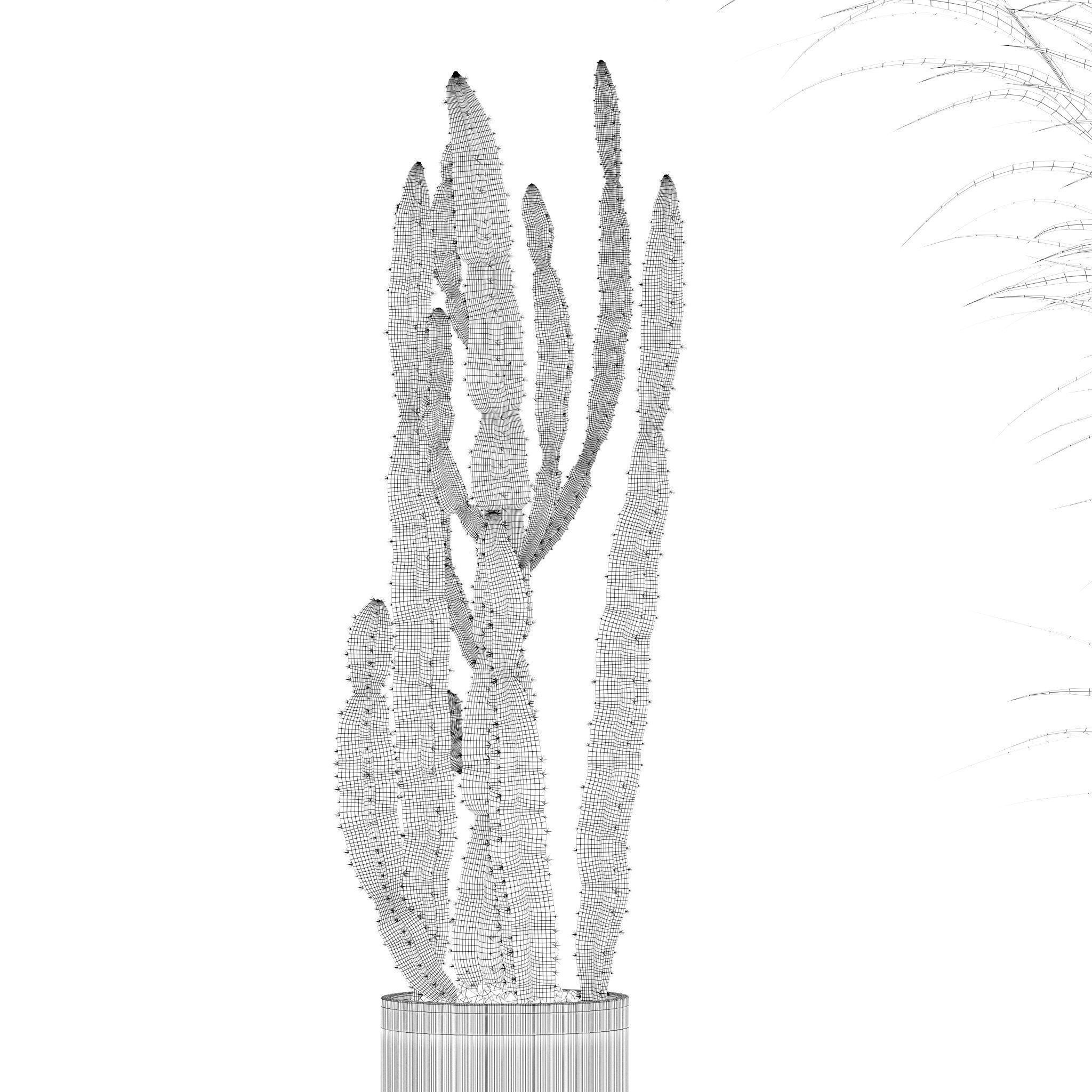 20 Photorealistic Flowers for Interiors - set 201 203 205 207 3D Model Collection_21