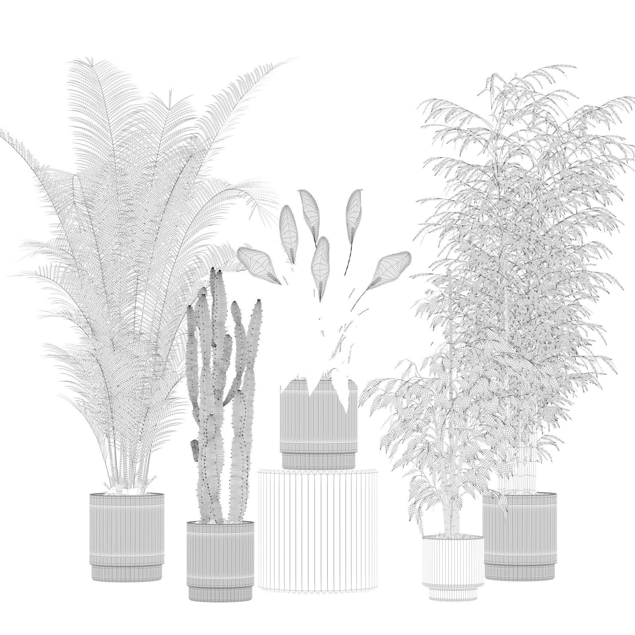 20 Photorealistic Flowers for Interiors - set 201 203 205 207 3D Model Collection_57