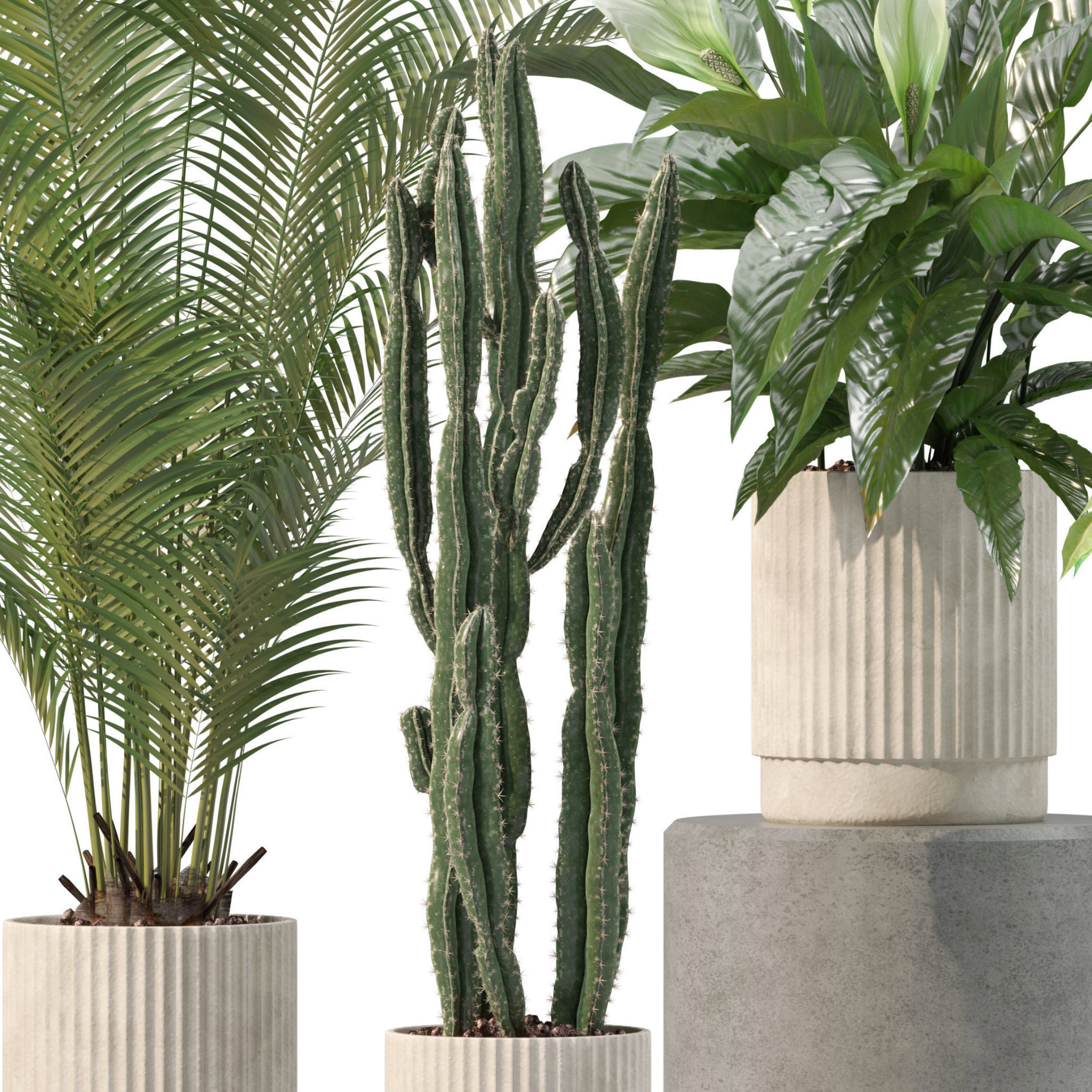 20 Photorealistic Flowers for Interiors - set 201 203 205 207 3D Model Collection_64