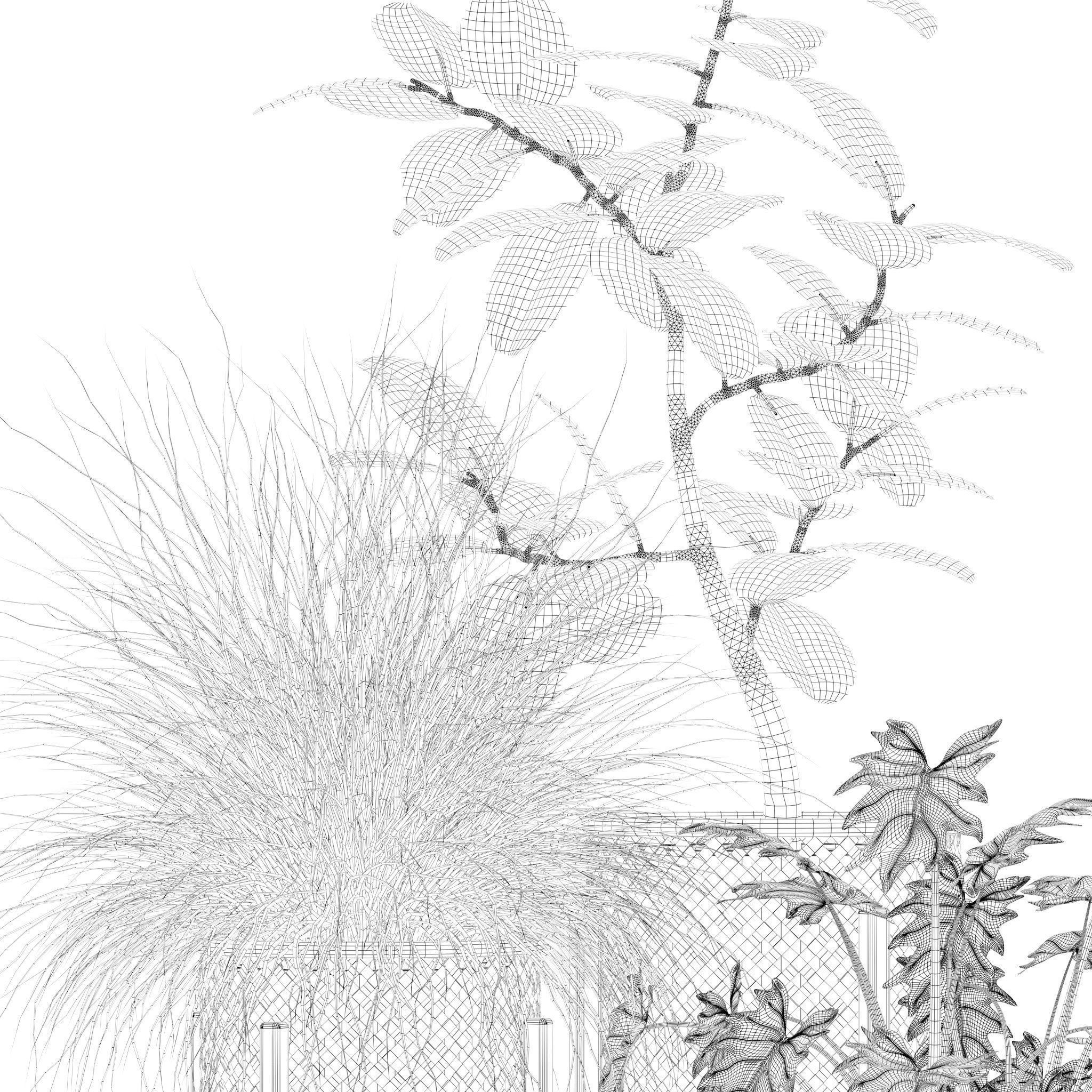 20 Photorealistic Flowers for Interiors - set 201 203 205 207 3D Model Collection_42