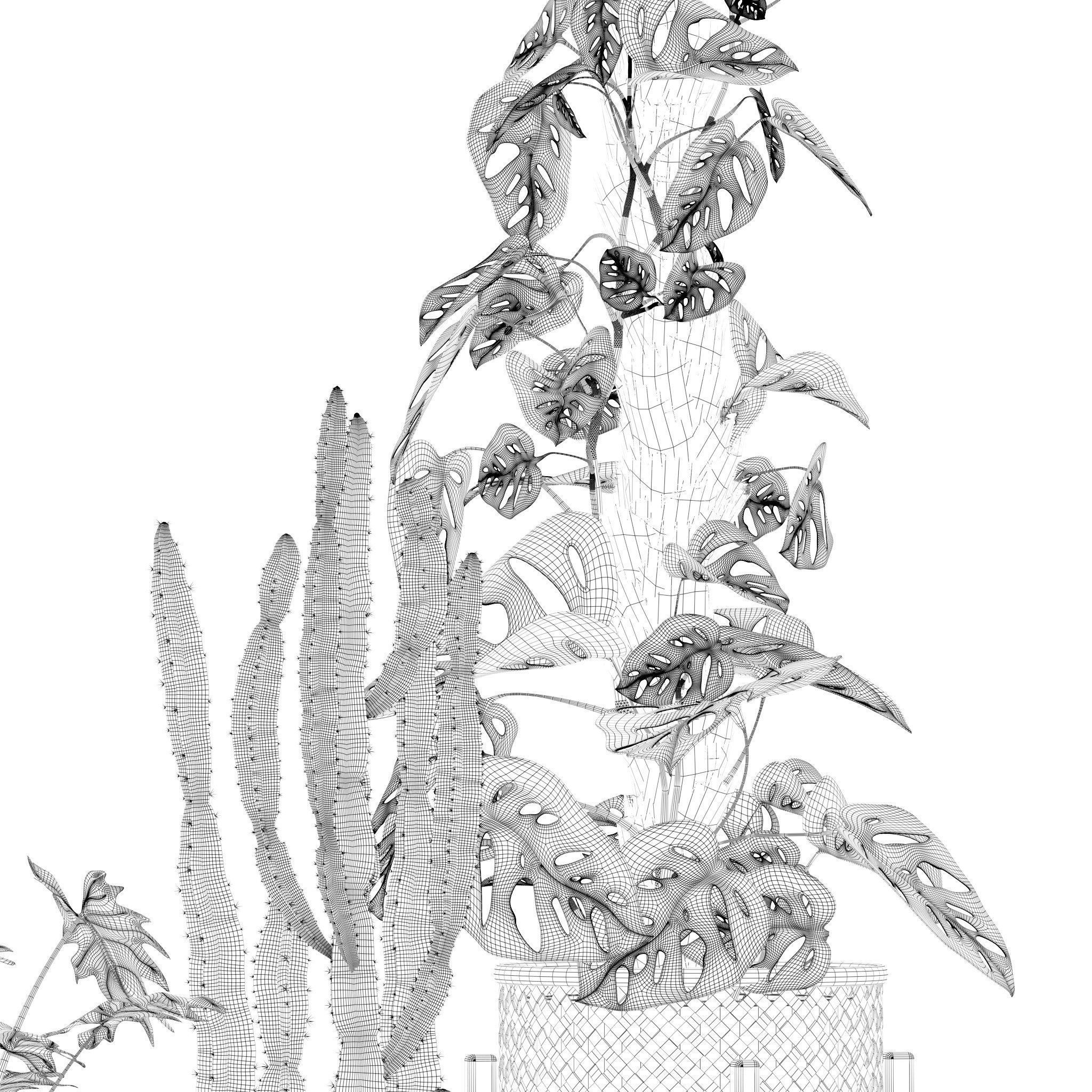 20 Photorealistic Flowers for Interiors - set 201 203 205 216 3D Model Collection_39