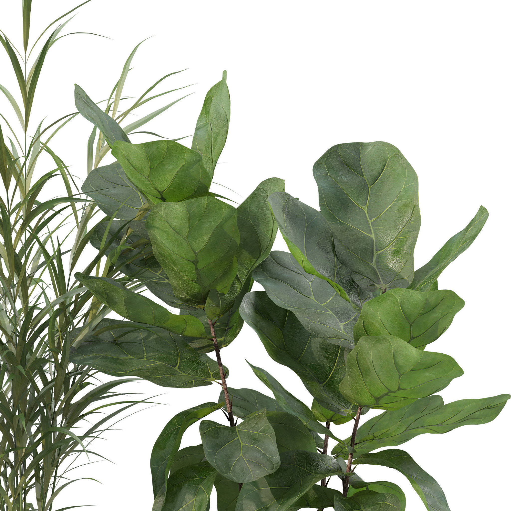 20 Photorealistic Flowers for Interiors - set 201 203 205 216 3D Model Collection_20