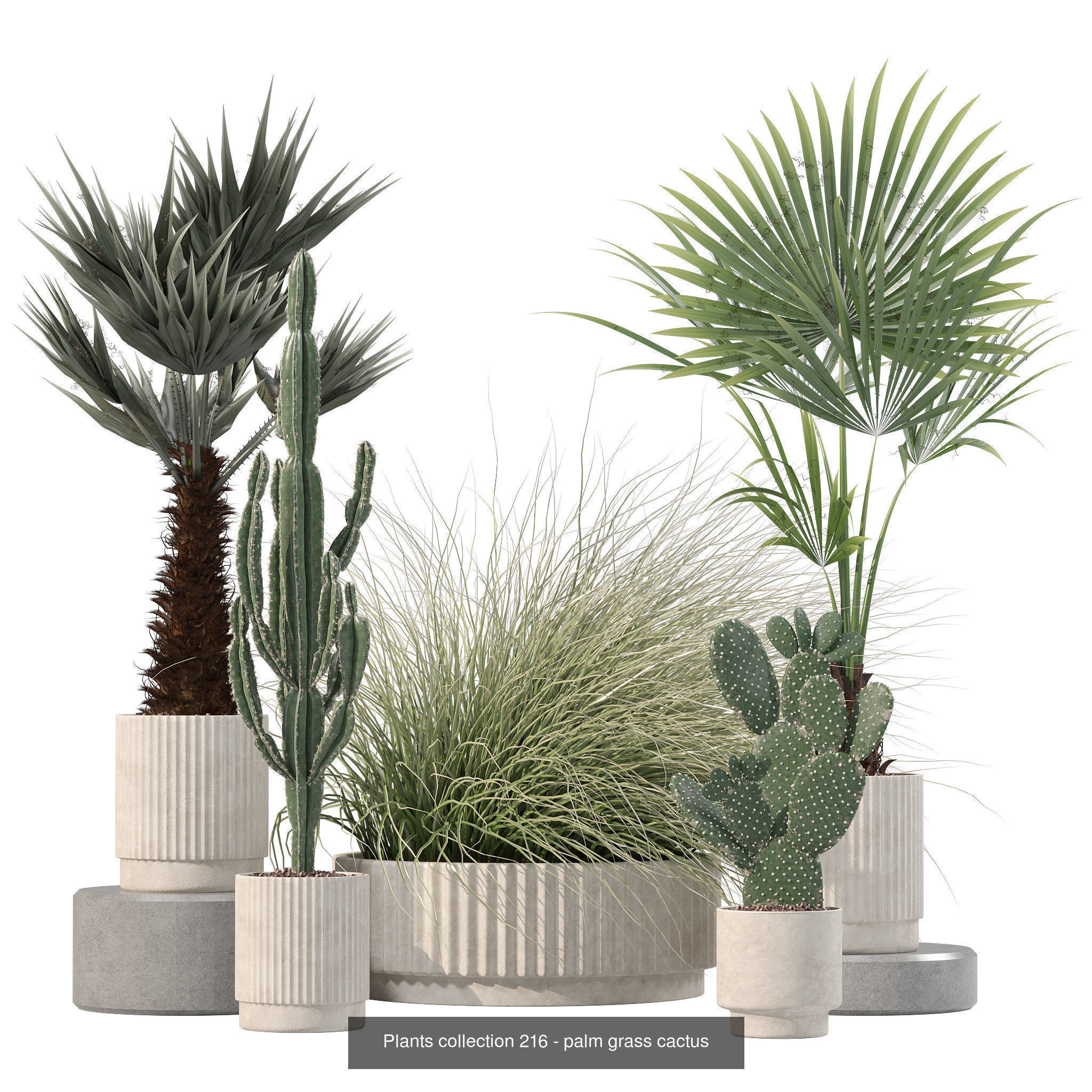 20 Photorealistic Flowers for Interiors - set 201 203 205 216 3D Model Collection_7