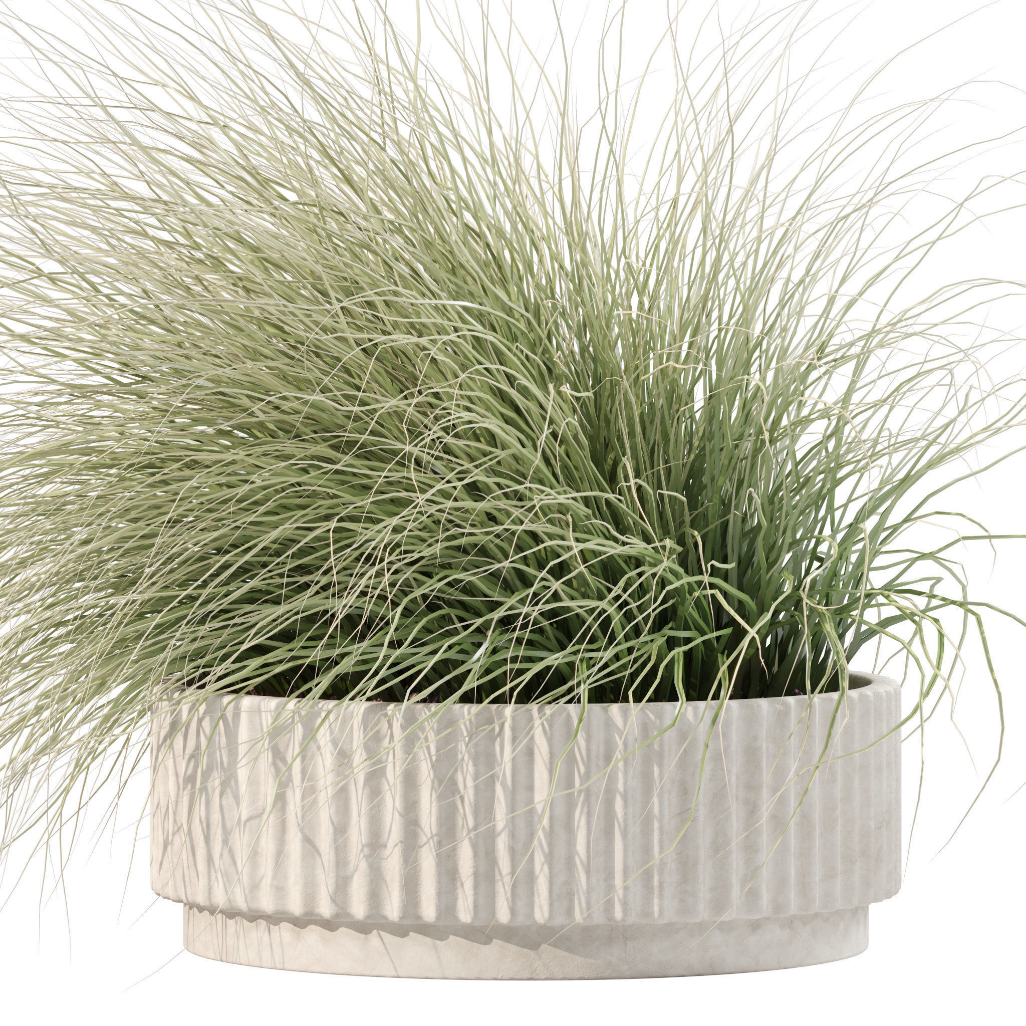 20 Photorealistic Flowers for Interiors - set 201 203 205 216 3D Model Collection_87