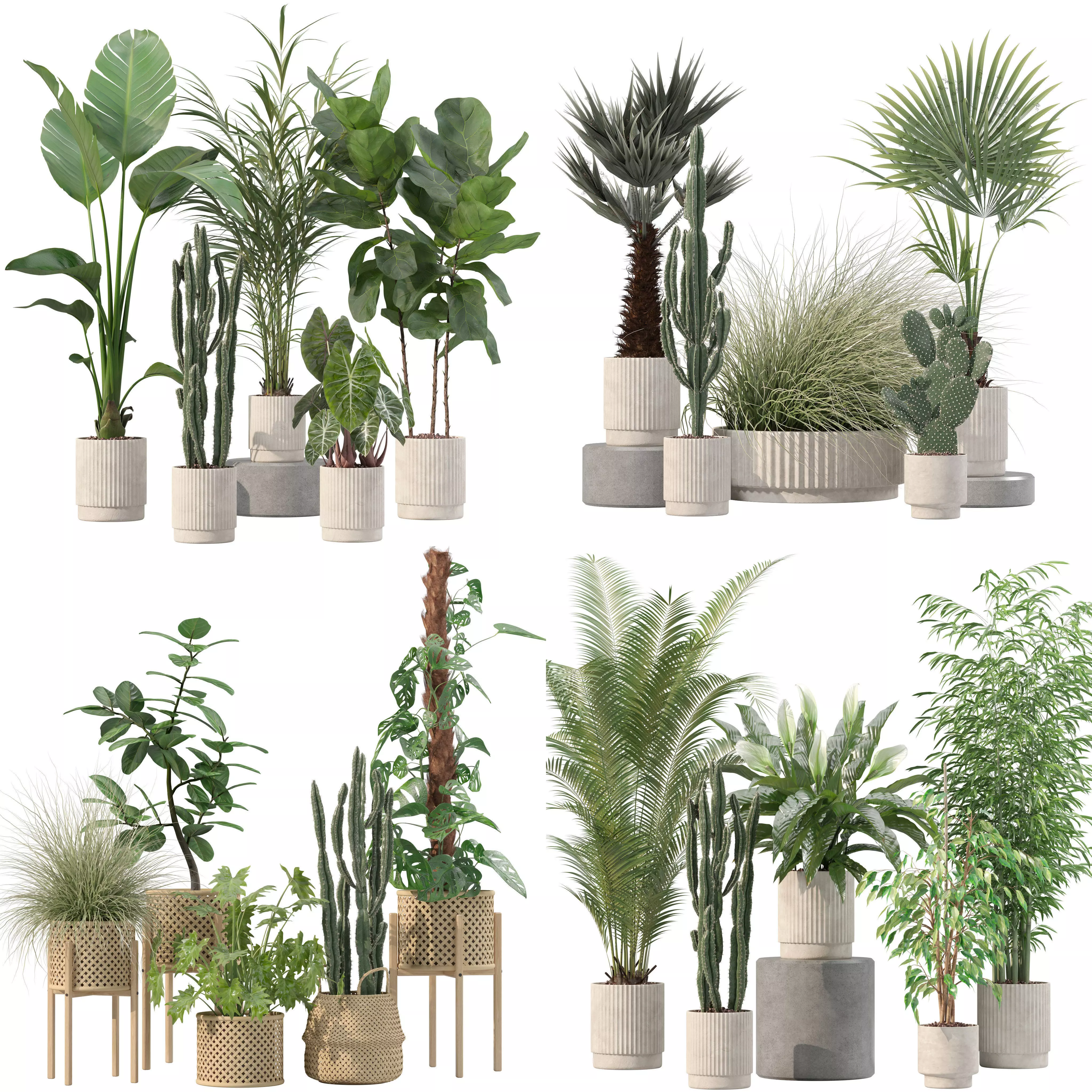 20 Photorealistic Flowers for Interiors - set 201 203 205 216 3D Model Collection_0