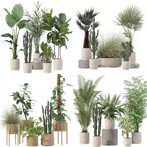 20 Photorealistic Flowers for Interiors - set 201 203 205 216 3D Model Collection