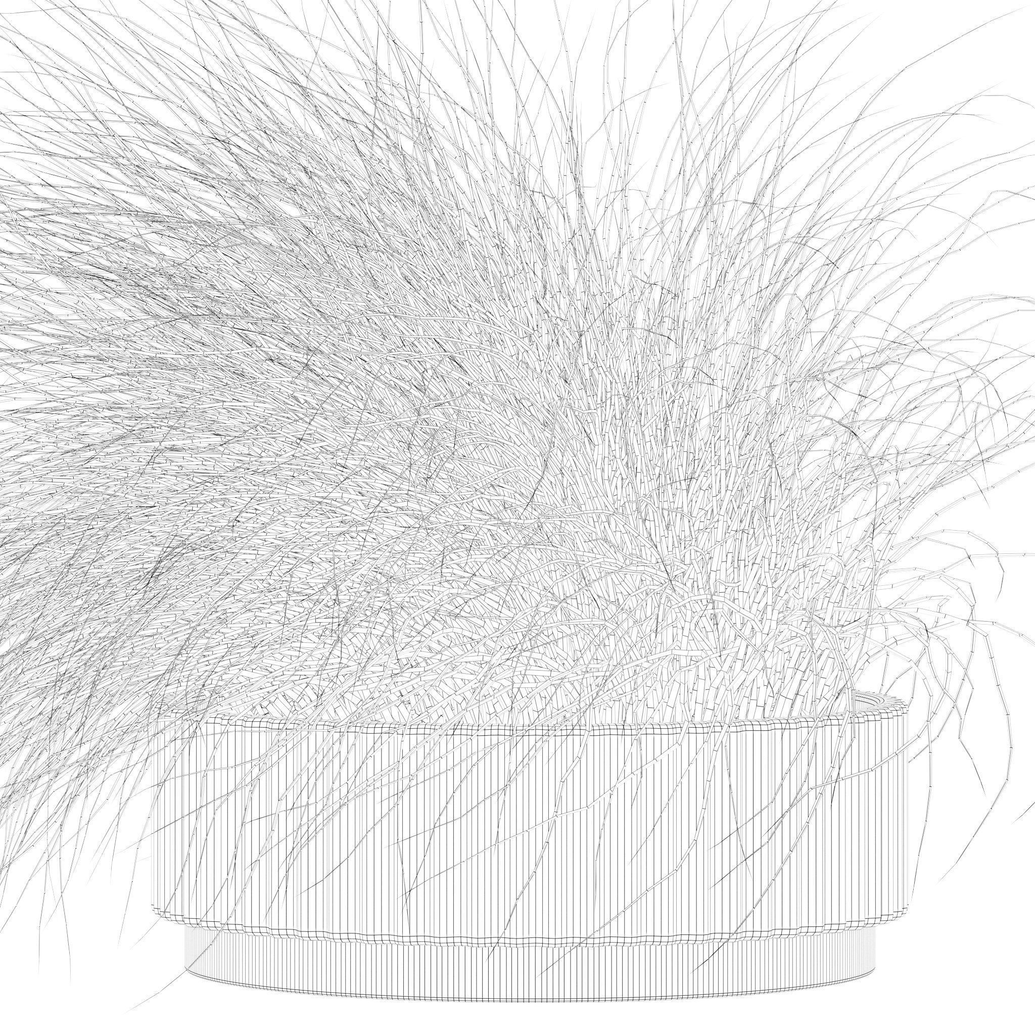 20 Photorealistic Flowers for Interiors - set 201 203 205 216 3D Model Collection_80