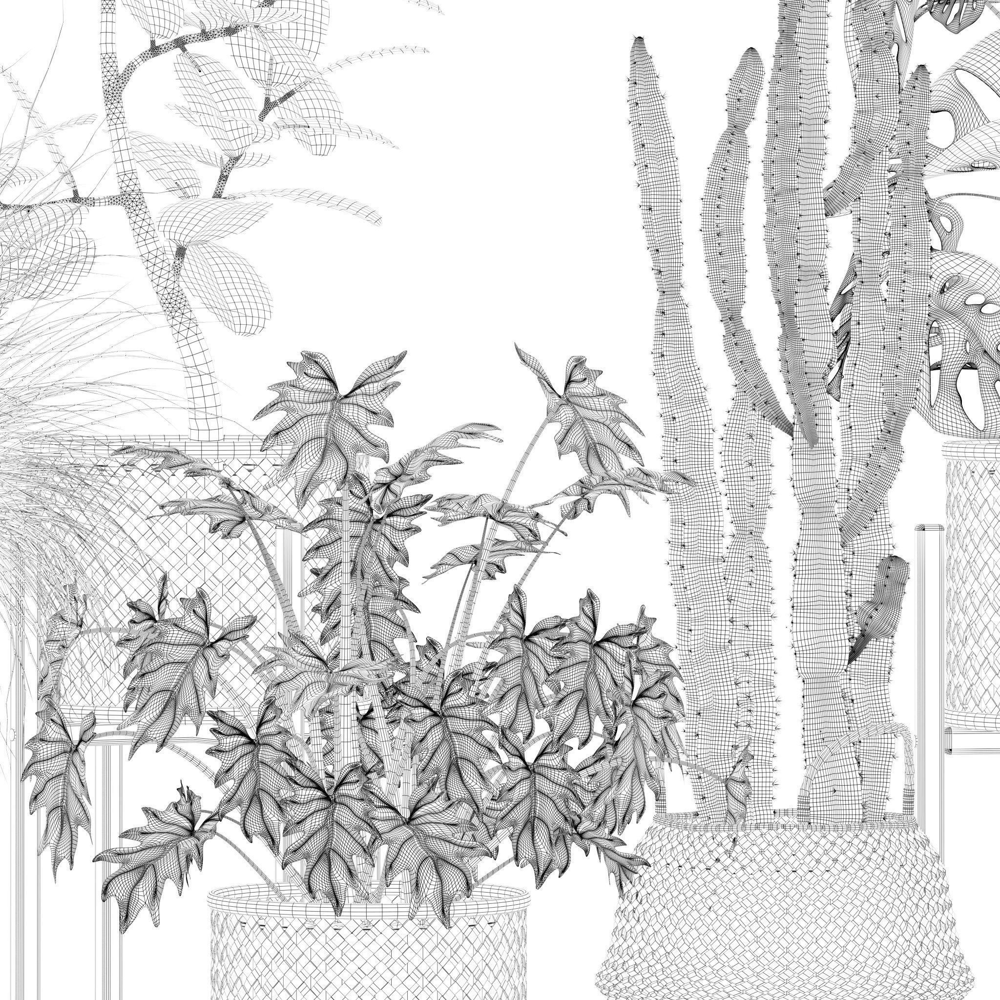 20 Photorealistic Flowers for Interiors - set 201 203 205 216 3D Model Collection_41