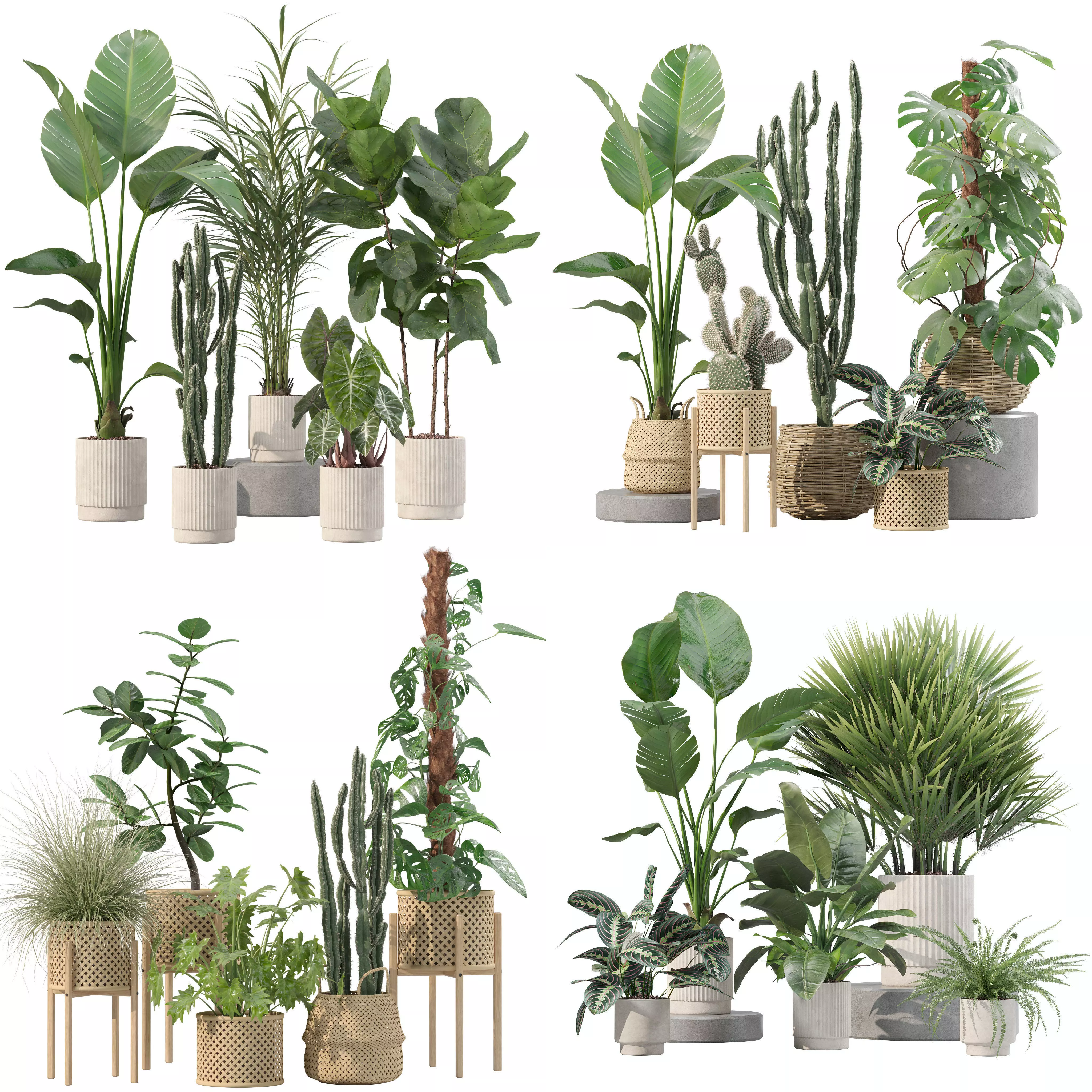 20 Photorealistic Flowers for Interiors - set 201 203 207 211 3D Model Collection_0