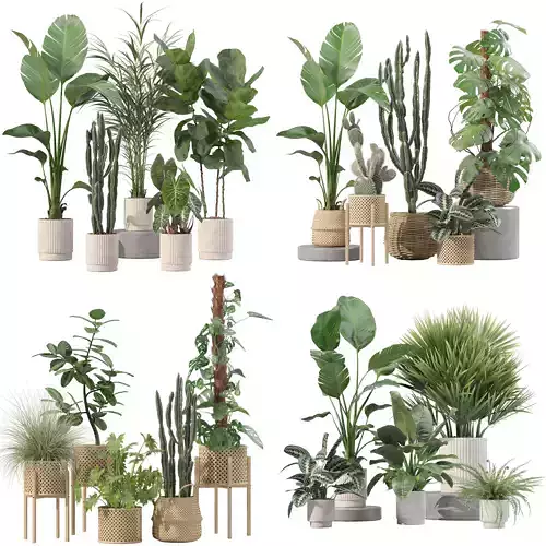 20 Photorealistic Flowers for Interiors - set 201 203 207 211 3D Model Collection