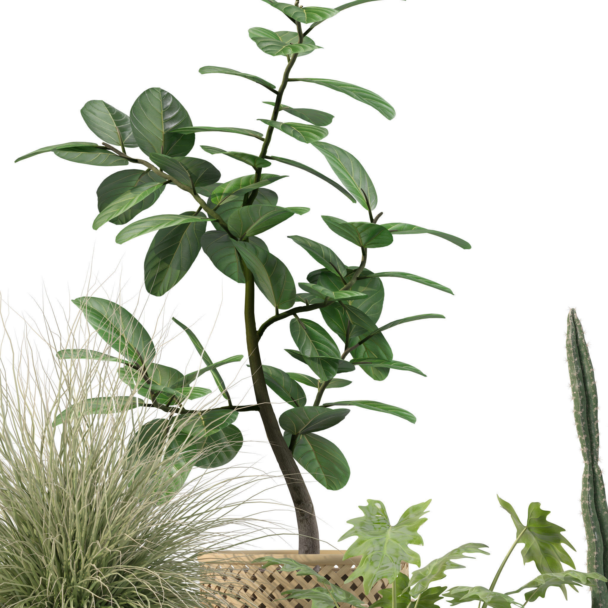 20 Photorealistic Flowers for Interiors - set 201 203 207 211 3D Model Collection_35