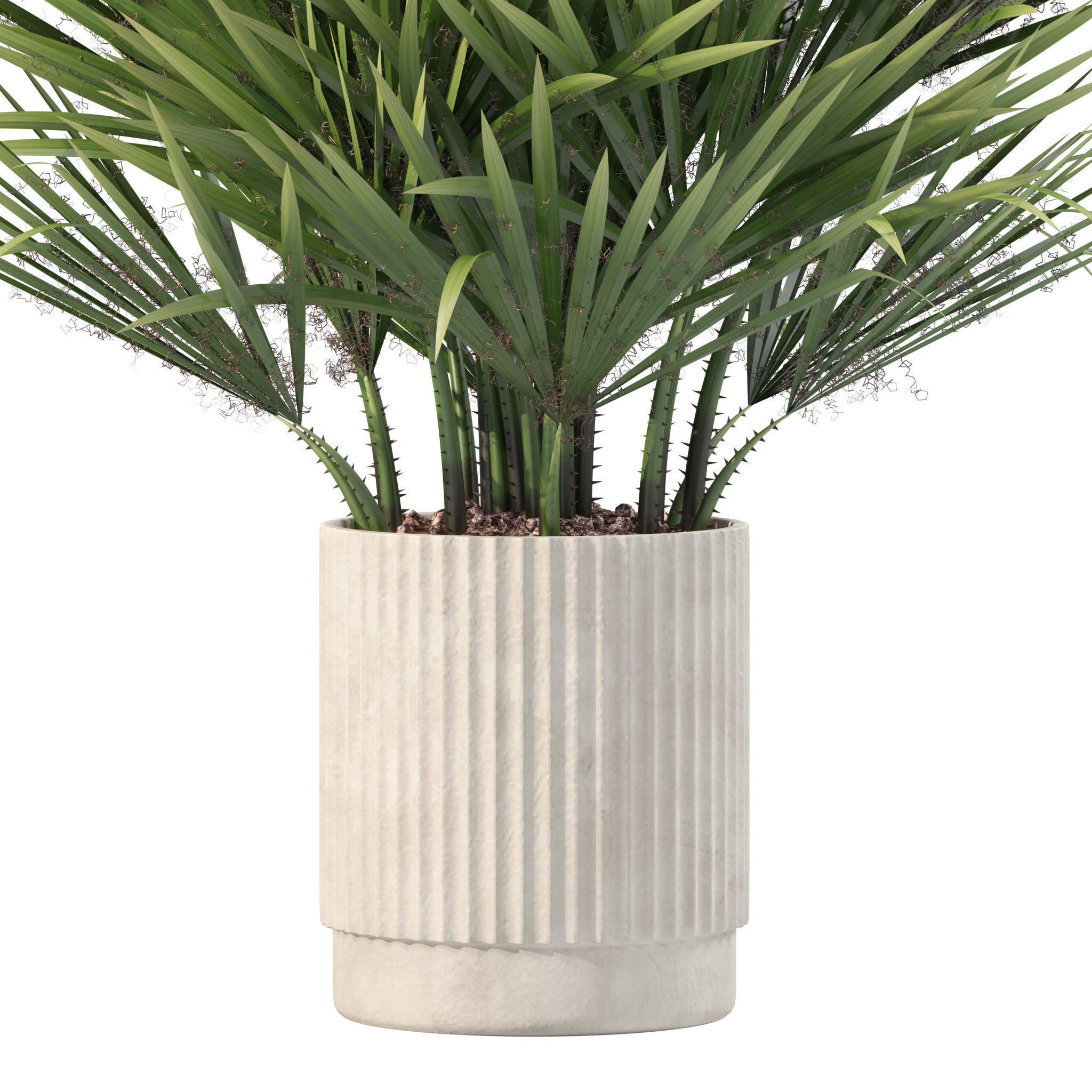 20 Photorealistic Flowers for Interiors - set 201 203 207 211 3D Model Collection_54