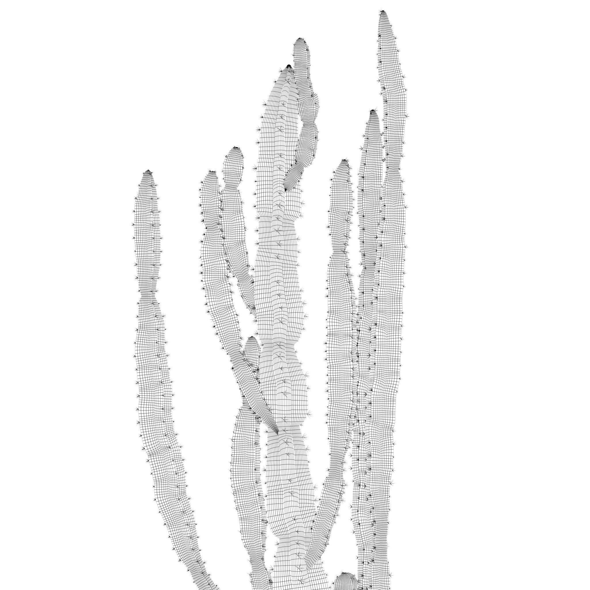 20 Photorealistic Flowers for Interiors - set 201 203 207 211 3D Model Collection_75