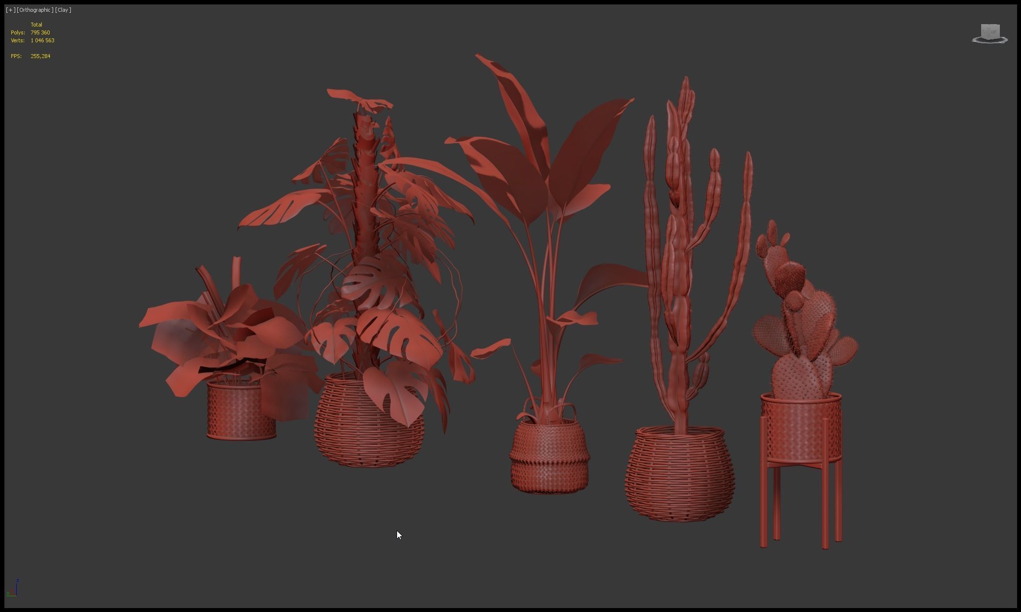 20 Photorealistic Flowers for Interiors - set 201 203 207 211 3D Model Collection_82