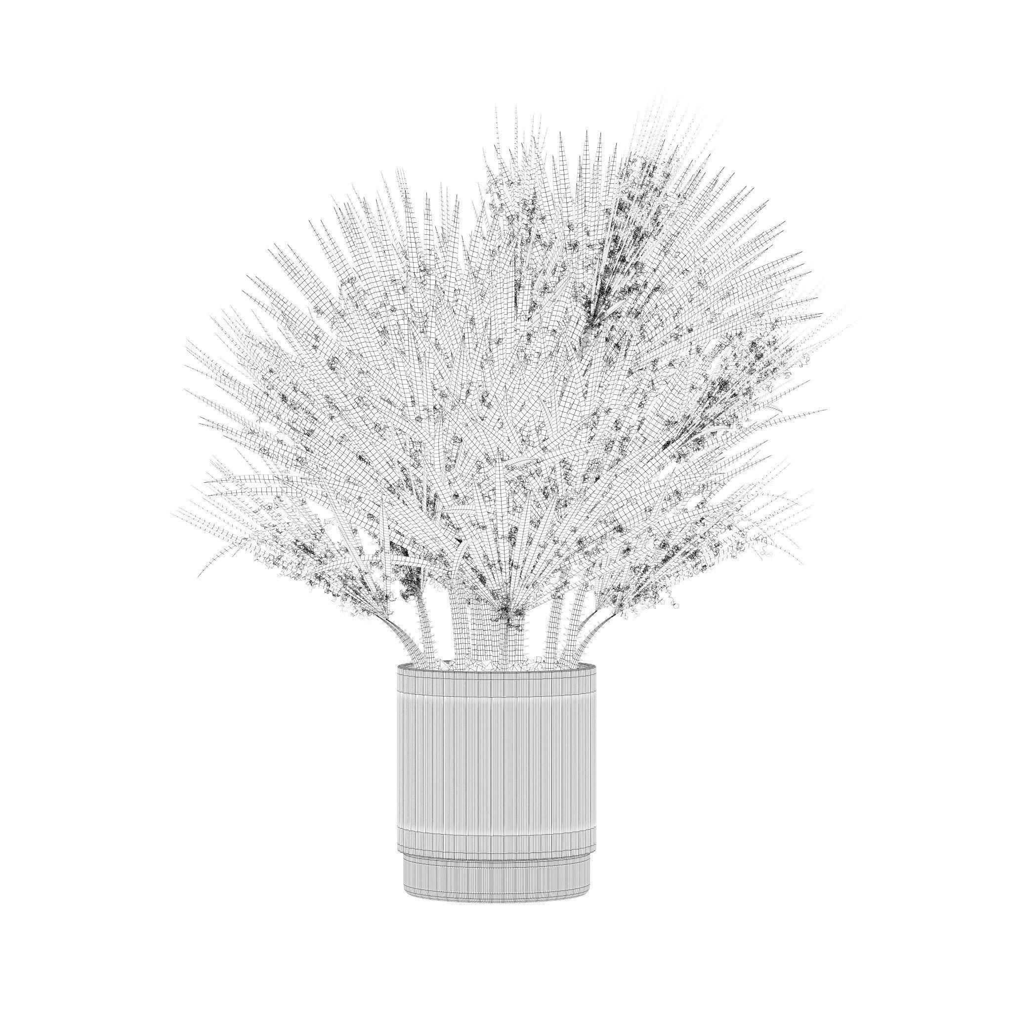 20 Photorealistic Flowers for Interiors - set 201 203 207 211 3D Model Collection_60