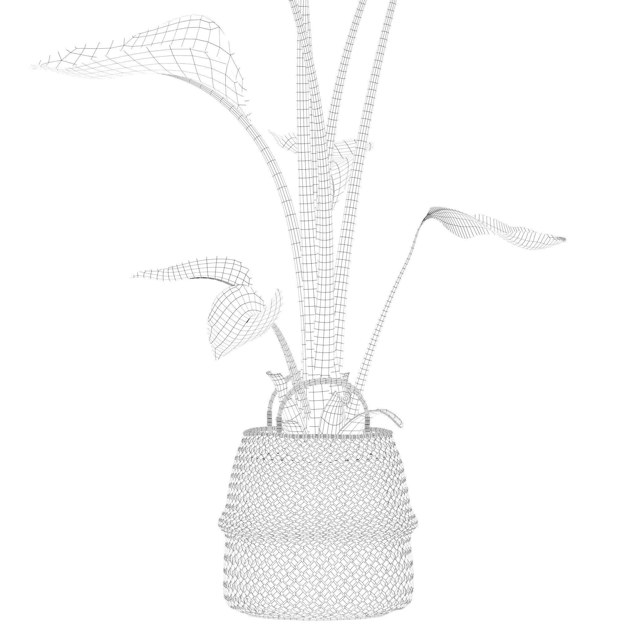 20 Photorealistic Flowers for Interiors - set 201 203 207 211 3D Model Collection_68