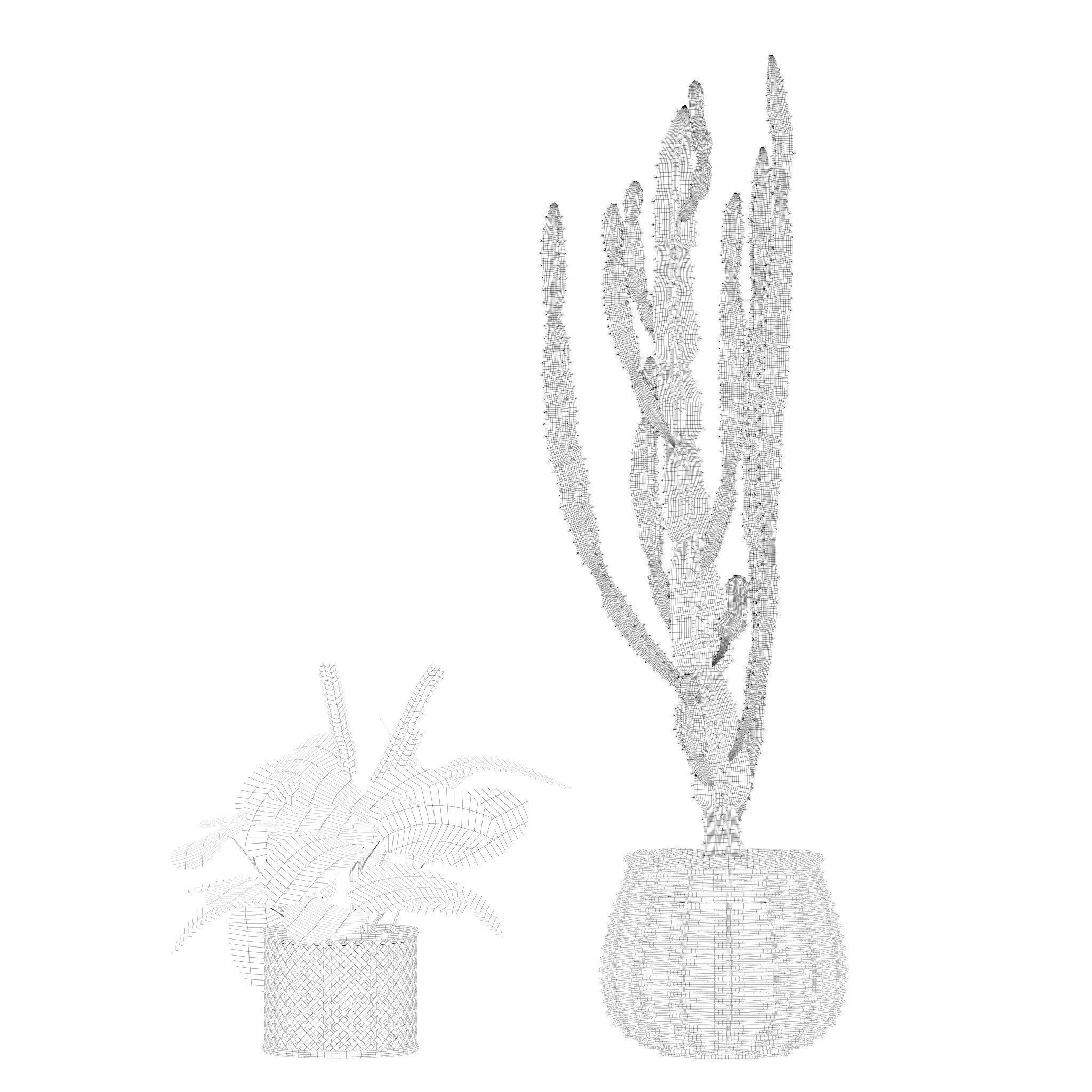 20 Photorealistic Flowers for Interiors - set 201 203 207 211 3D Model Collection_66