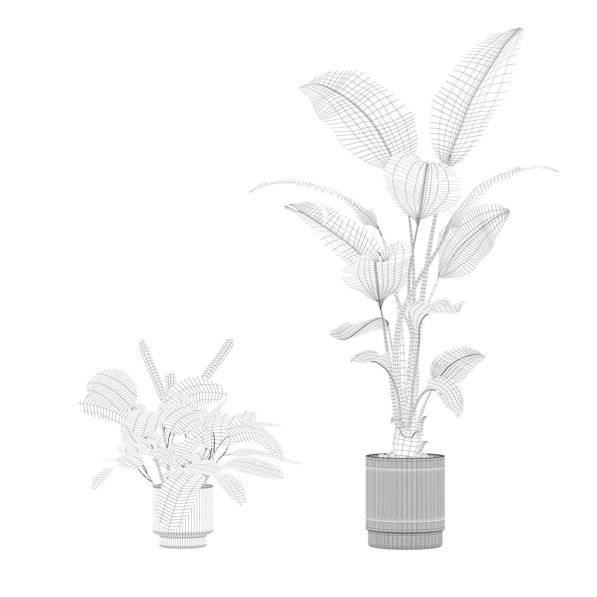 20 Photorealistic Flowers for Interiors - set 201 203 207 211 3D Model Collection_47