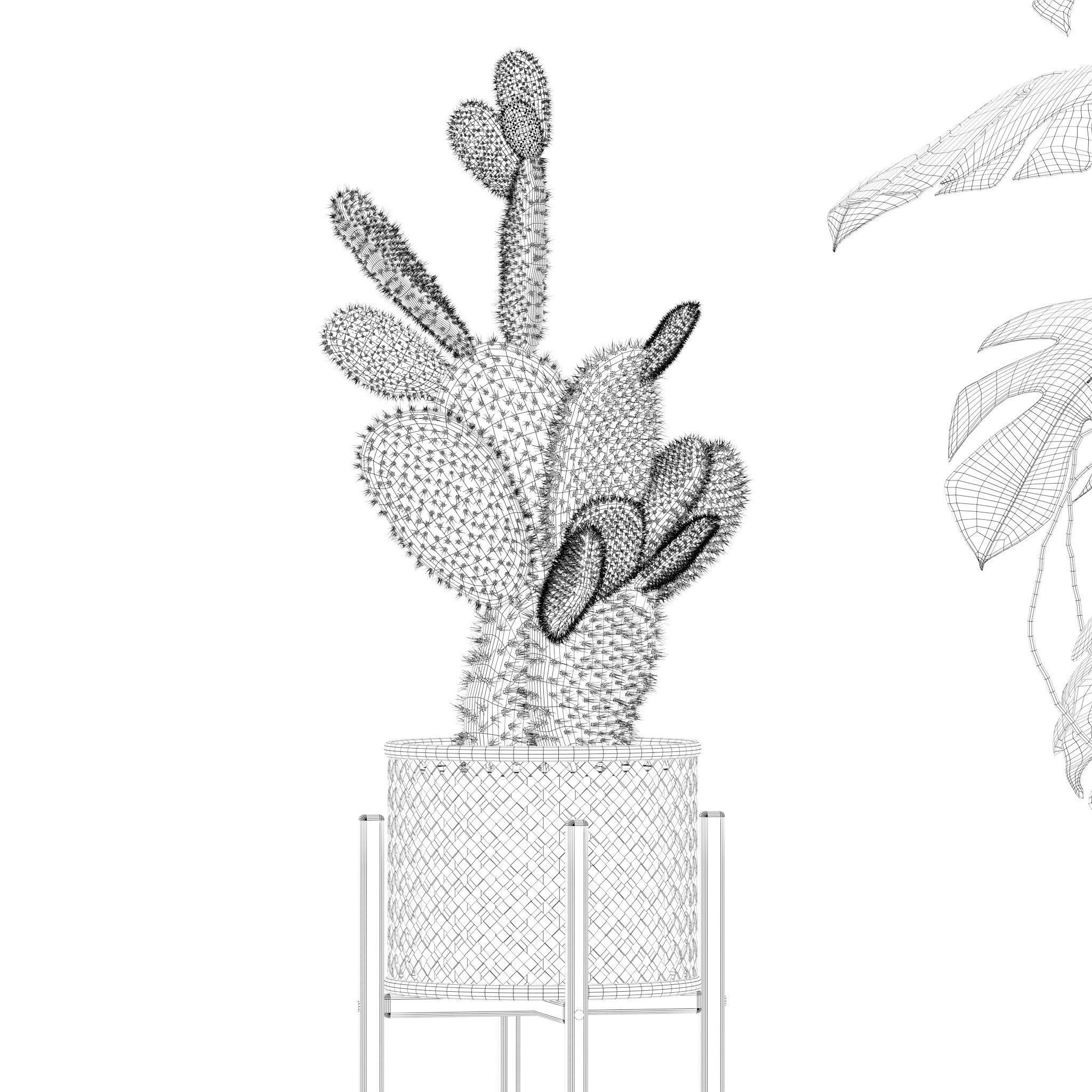 20 Photorealistic Flowers for Interiors - set 201 203 207 211 3D Model Collection_74