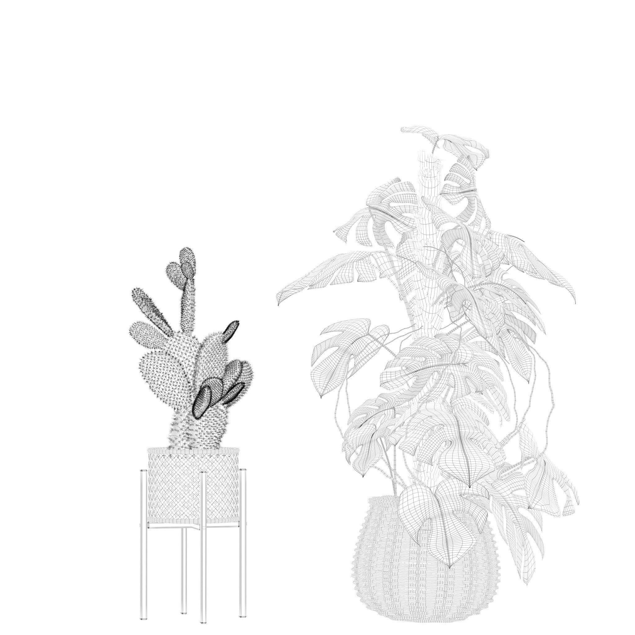 20 Photorealistic Flowers for Interiors - set 201 203 207 211 3D Model Collection_73