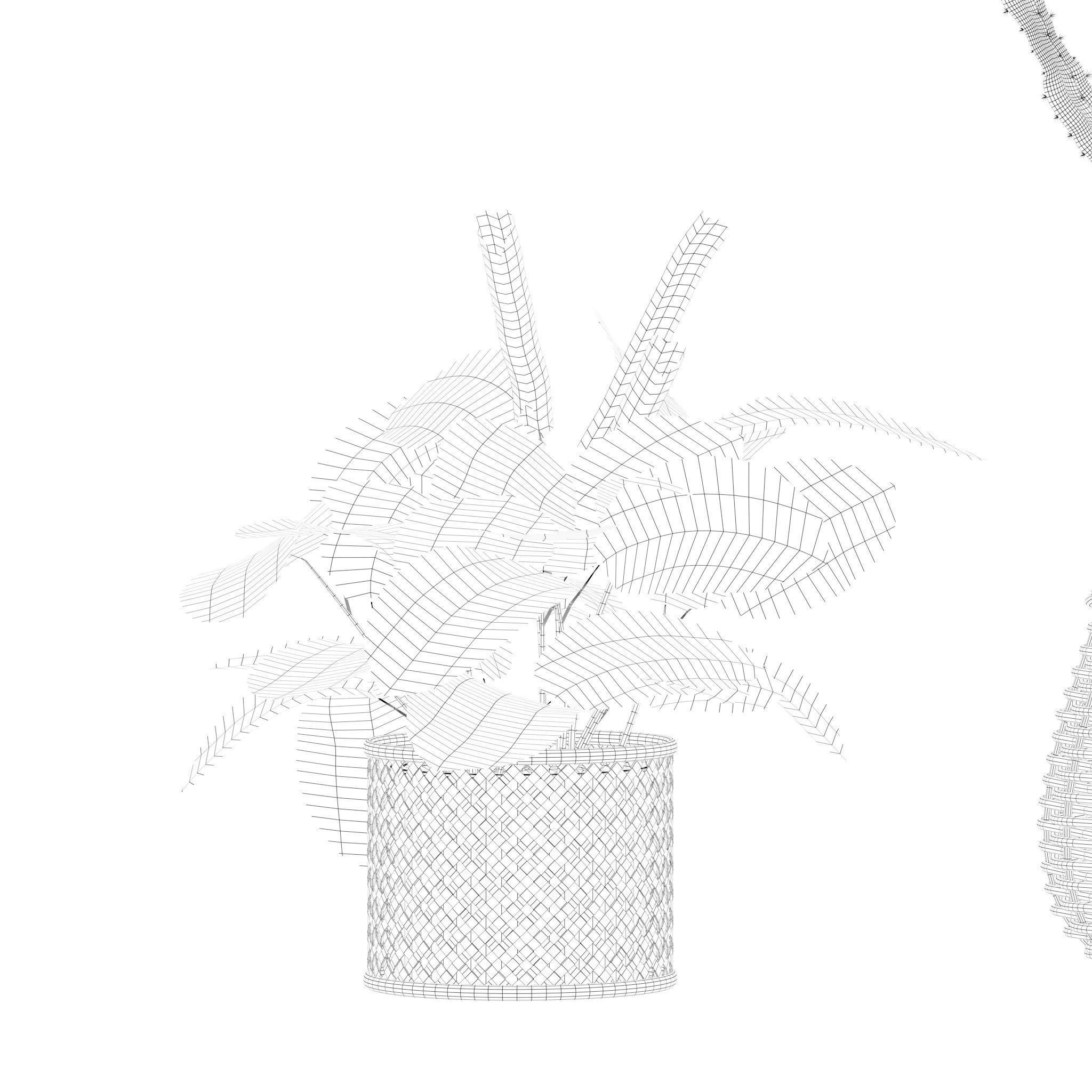 20 Photorealistic Flowers for Interiors - set 201 203 207 211 3D Model Collection_71