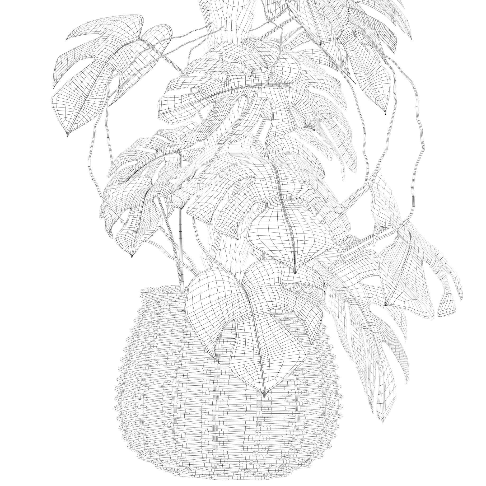 20 Photorealistic Flowers for Interiors - set 201 203 207 211 3D Model Collection_81