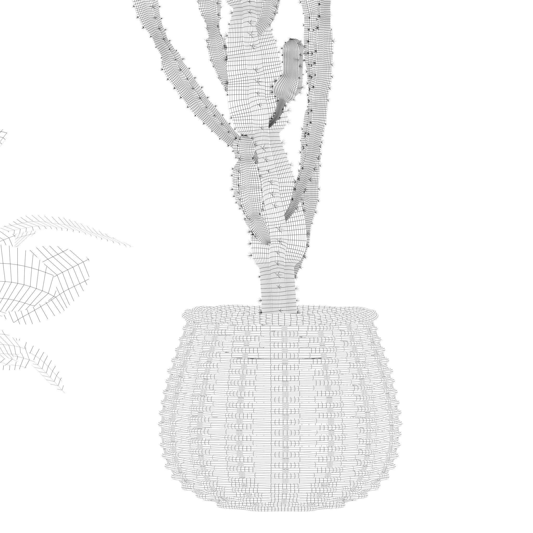 20 Photorealistic Flowers for Interiors - set 201 203 207 211 3D Model Collection_78