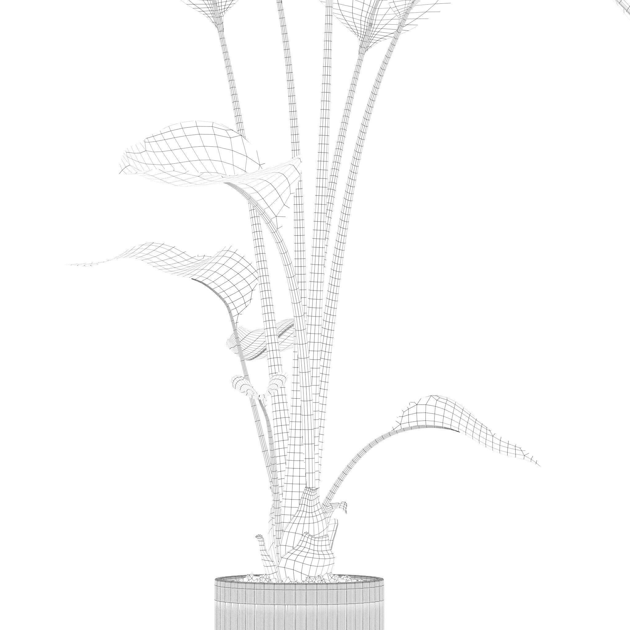 20 Photorealistic Flowers for Interiors - set 201 203 207 219 3D Model Collection_14