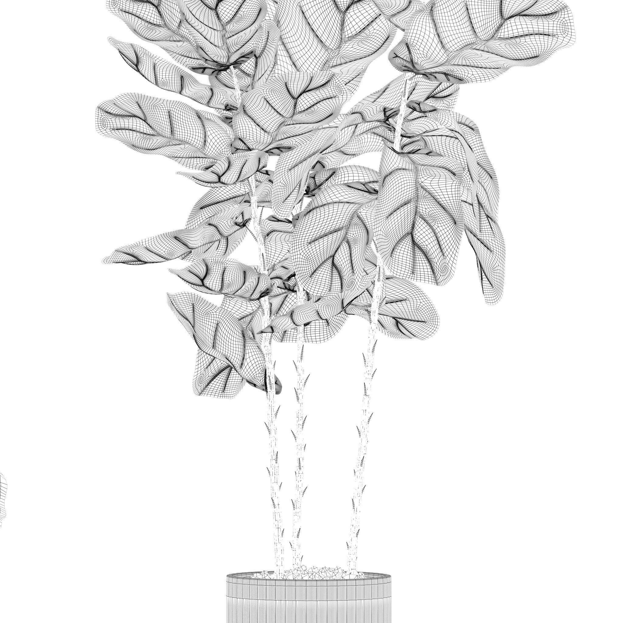 20 Photorealistic Flowers for Interiors - set 201 203 207 219 3D Model Collection_22