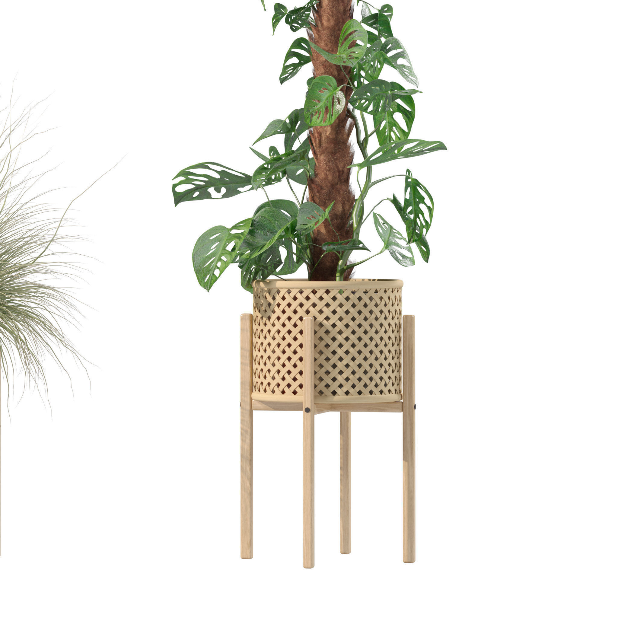 20 Photorealistic Flowers for Interiors - set 201 203 207 219 3D Model Collection_29