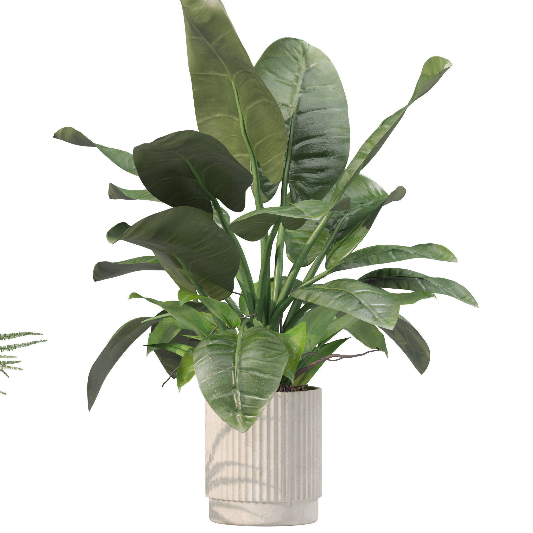 20 Photorealistic Flowers for Interiors - set 201 203 207 219 3D Model Collection_52