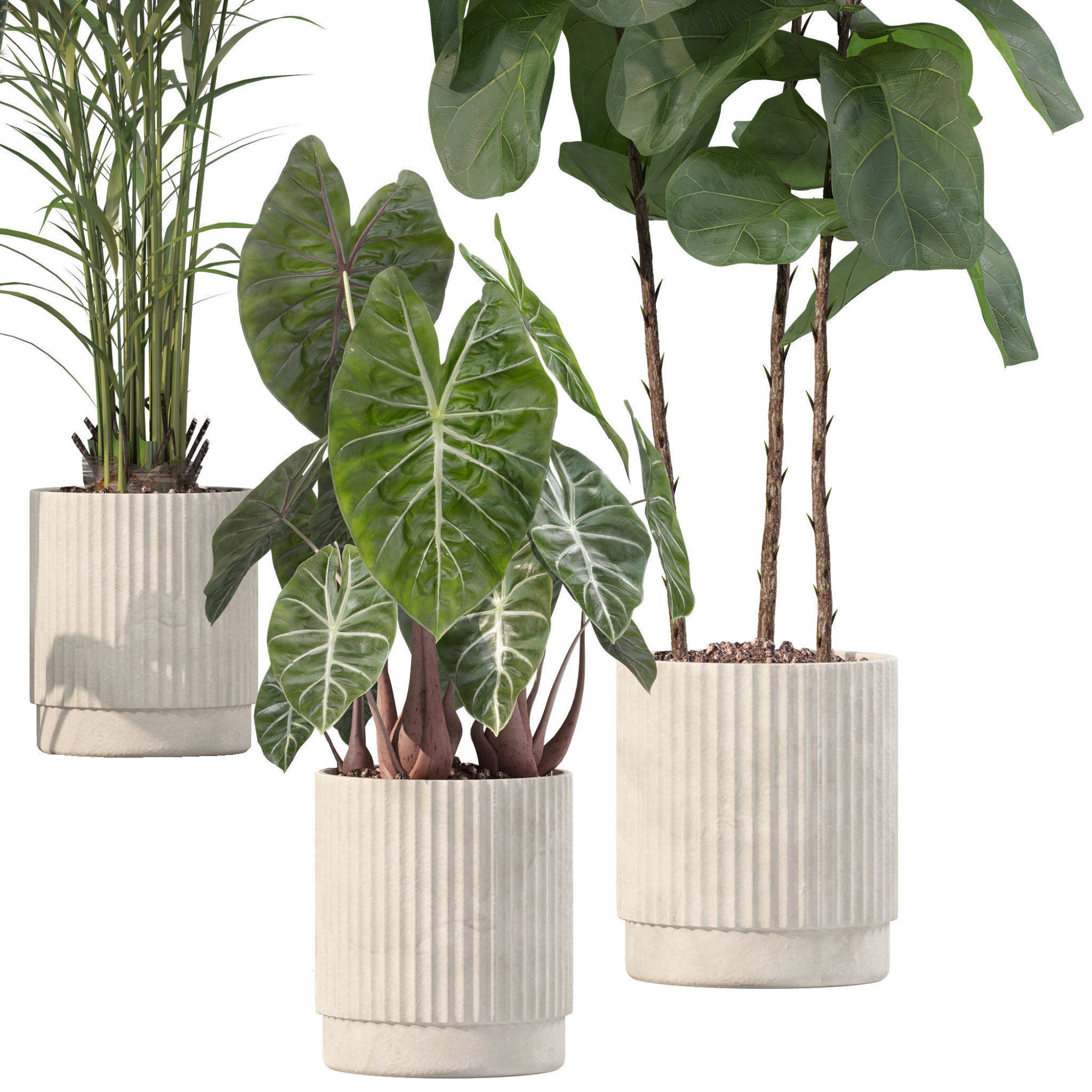 20 Photorealistic Flowers for Interiors - set 201 203 207 219 3D Model Collection_10