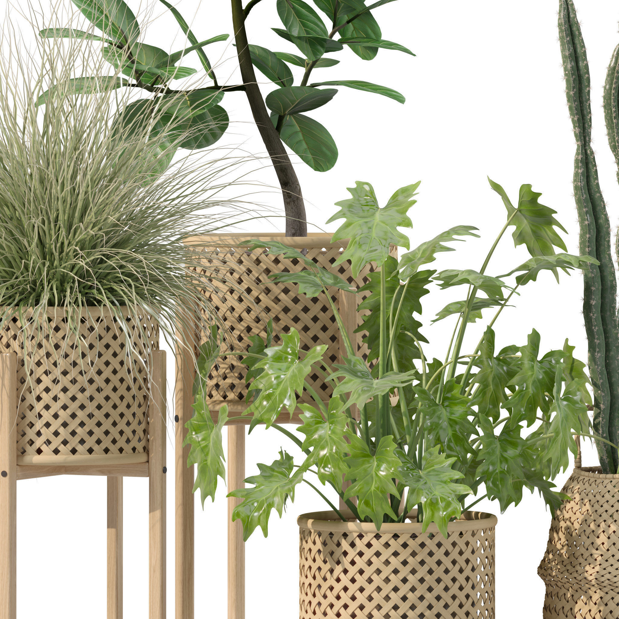 20 Photorealistic Flowers for Interiors - set 201 203 207 219 3D Model Collection_41