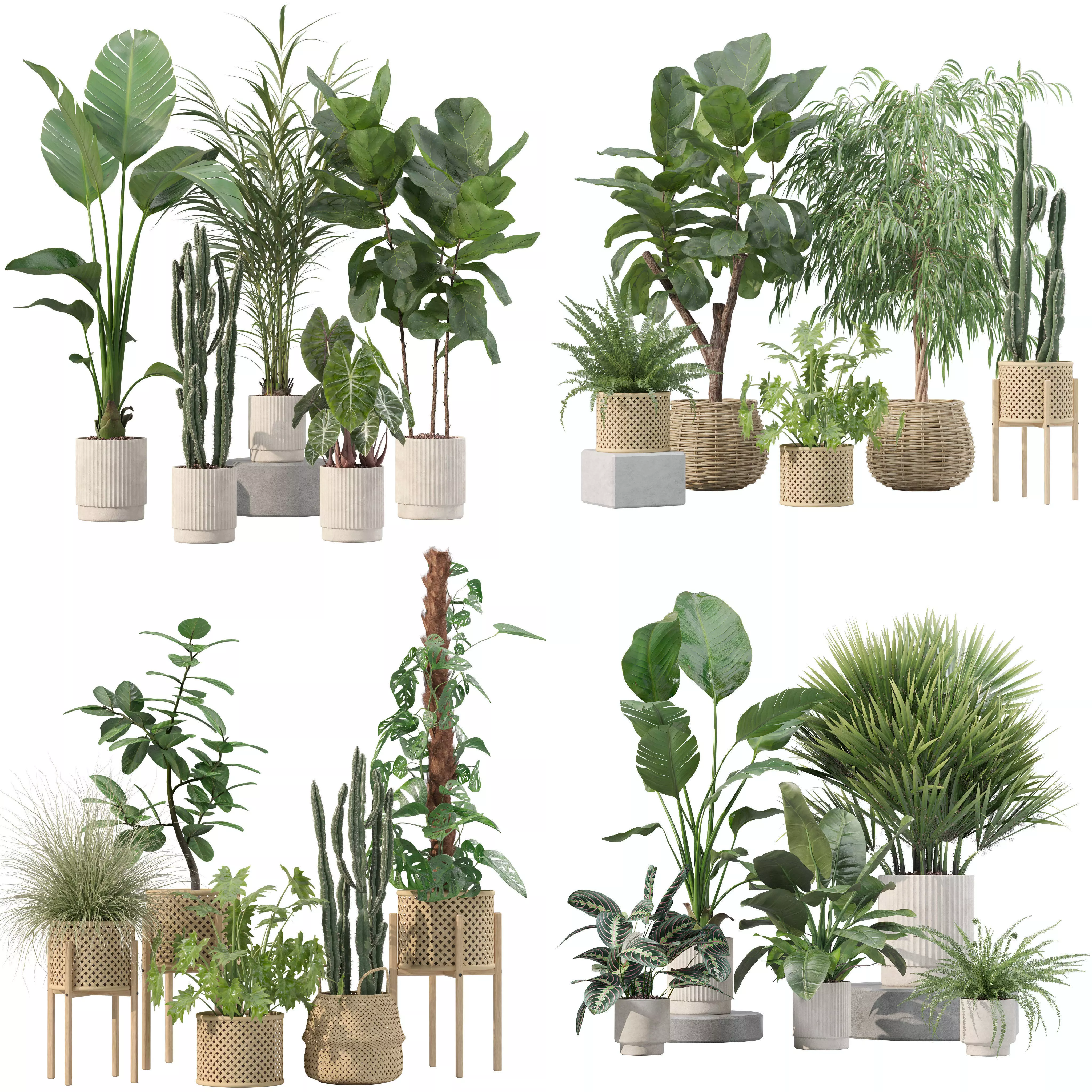 20 Photorealistic Flowers for Interiors - set 201 203 207 219 3D Model Collection_0