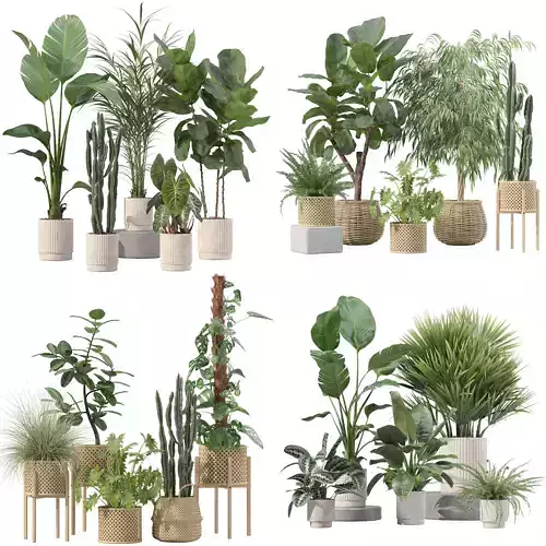 20 Photorealistic Flowers for Interiors - set 201 203 207 219 3D Model Collection