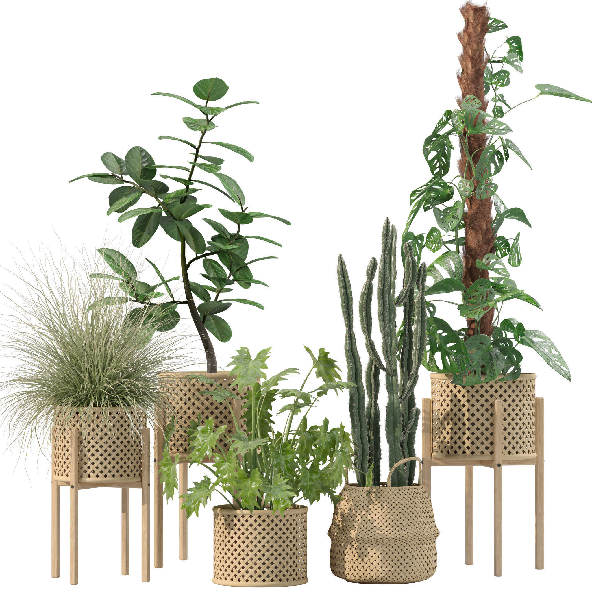 20 Photorealistic Flowers for Interiors - set 201 203 207 219 3D Model Collection_7