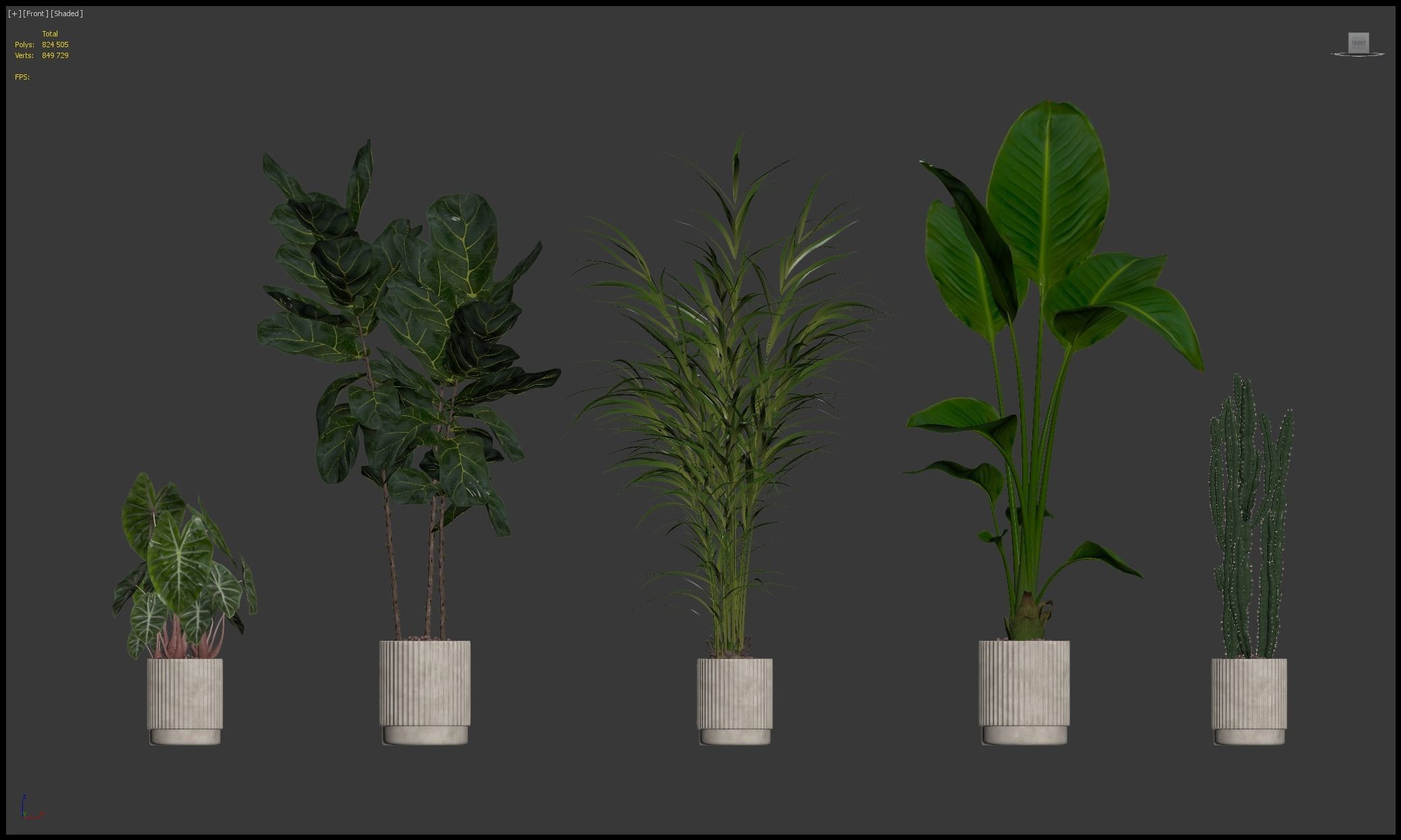 20 Photorealistic Flowers for Interiors - set 201 203 209 218 3D Model Collection_2