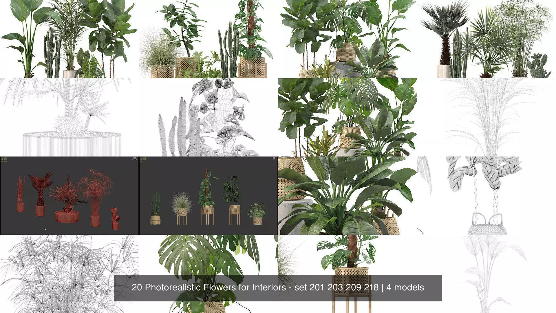 20 Photorealistic Flowers for Interiors - set 201 203 209 218 3D Model Collection_1