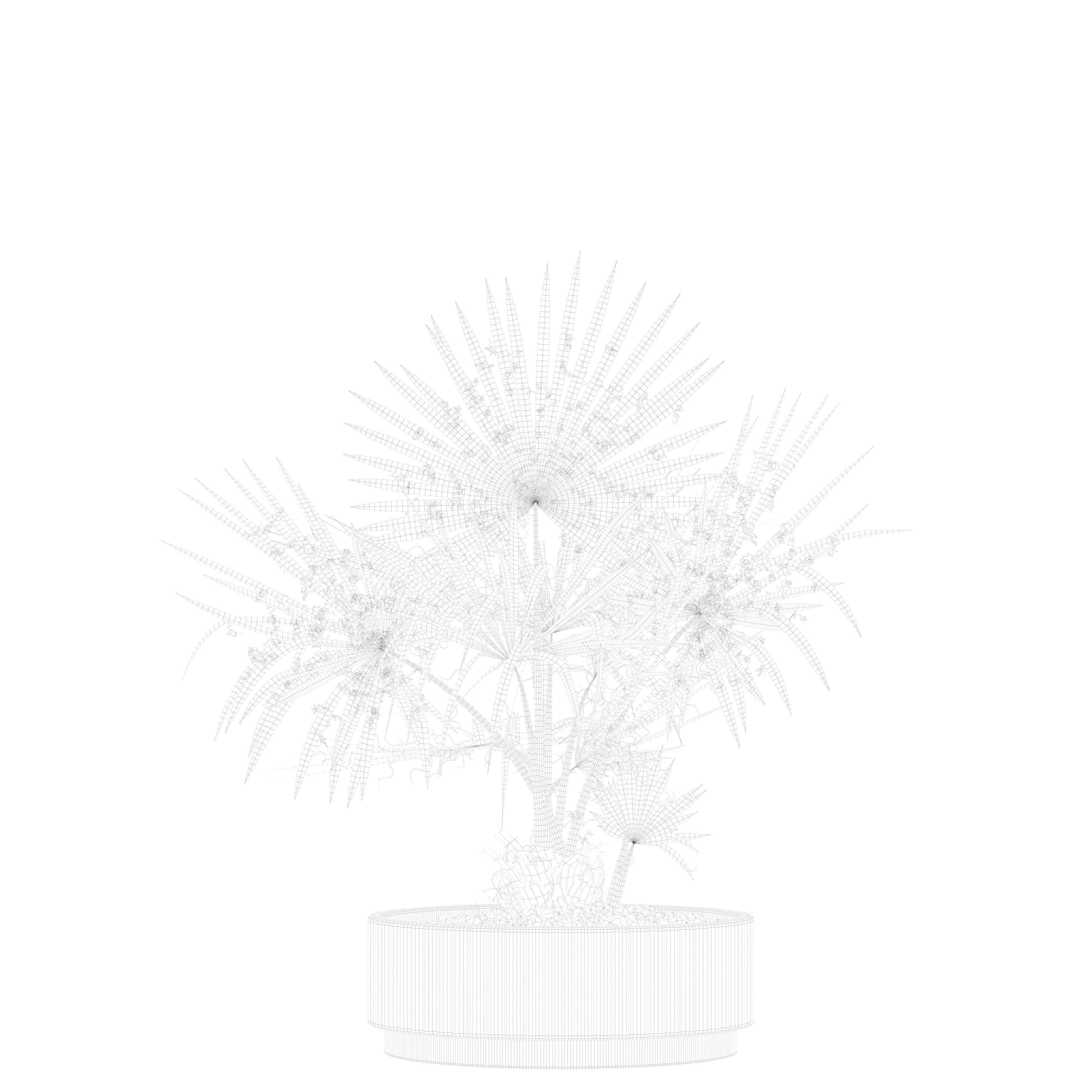 20 Photorealistic Flowers for Interiors - set 201 203 209 218 3D Model Collection_96